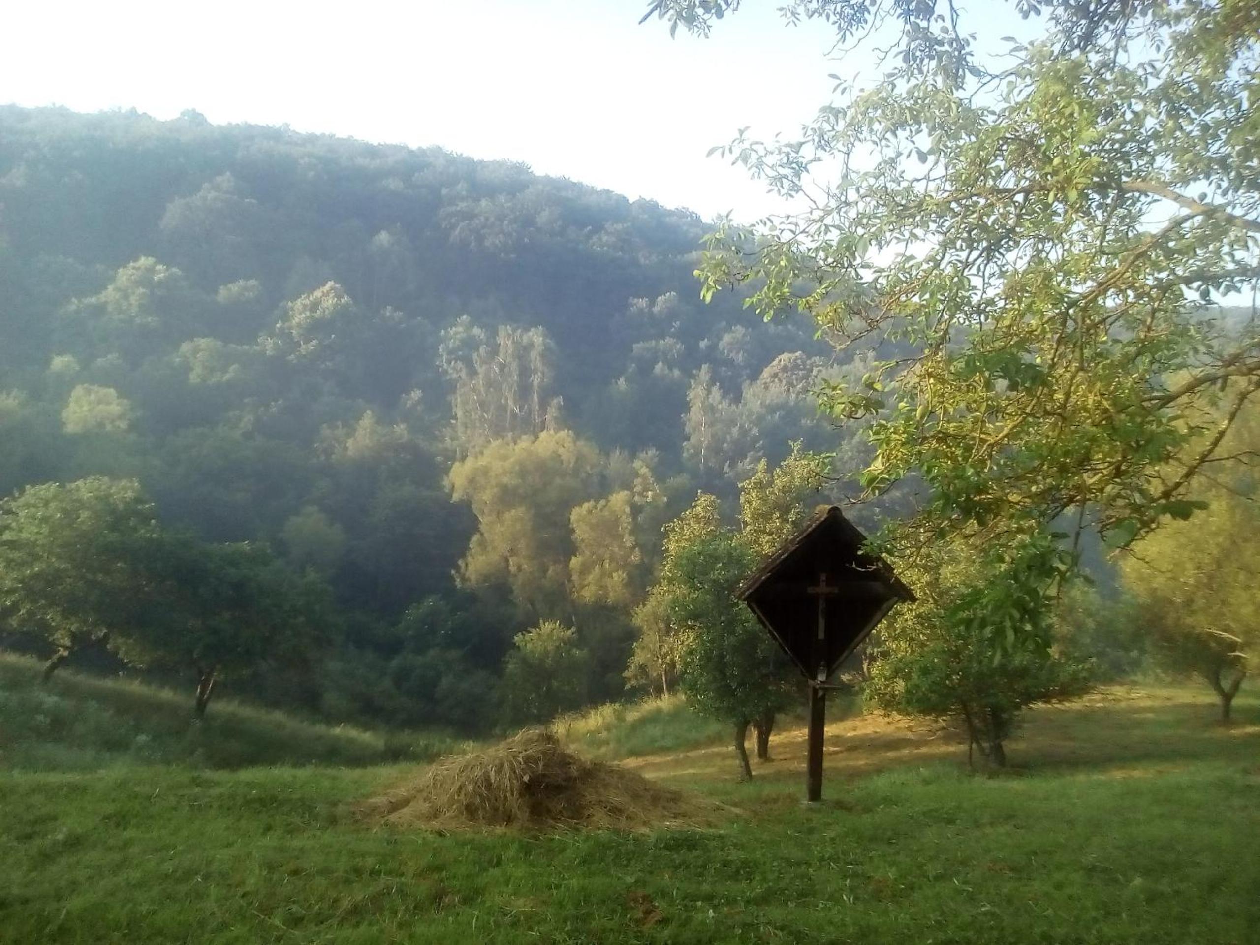 Photo 42