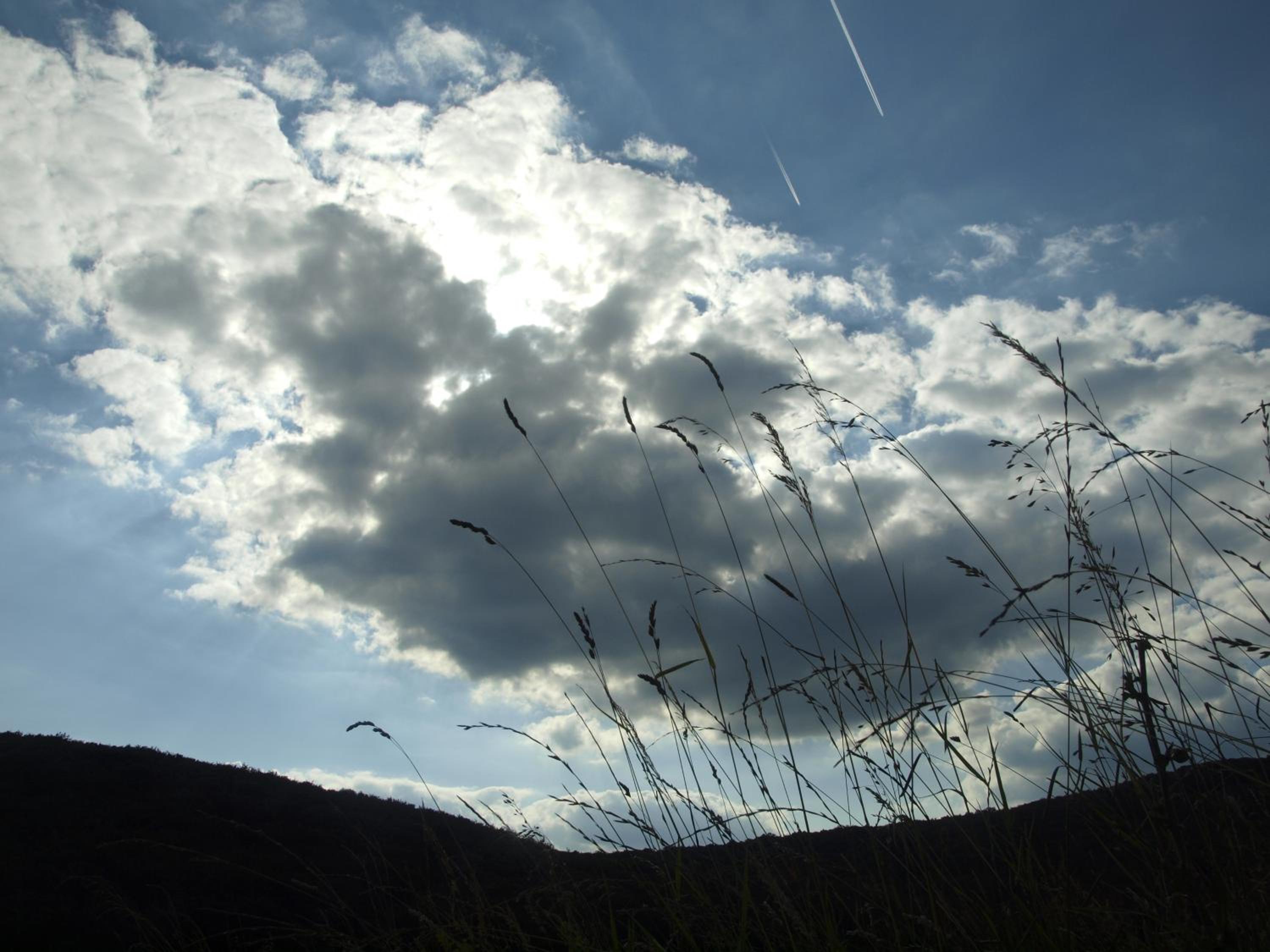 Photo 50