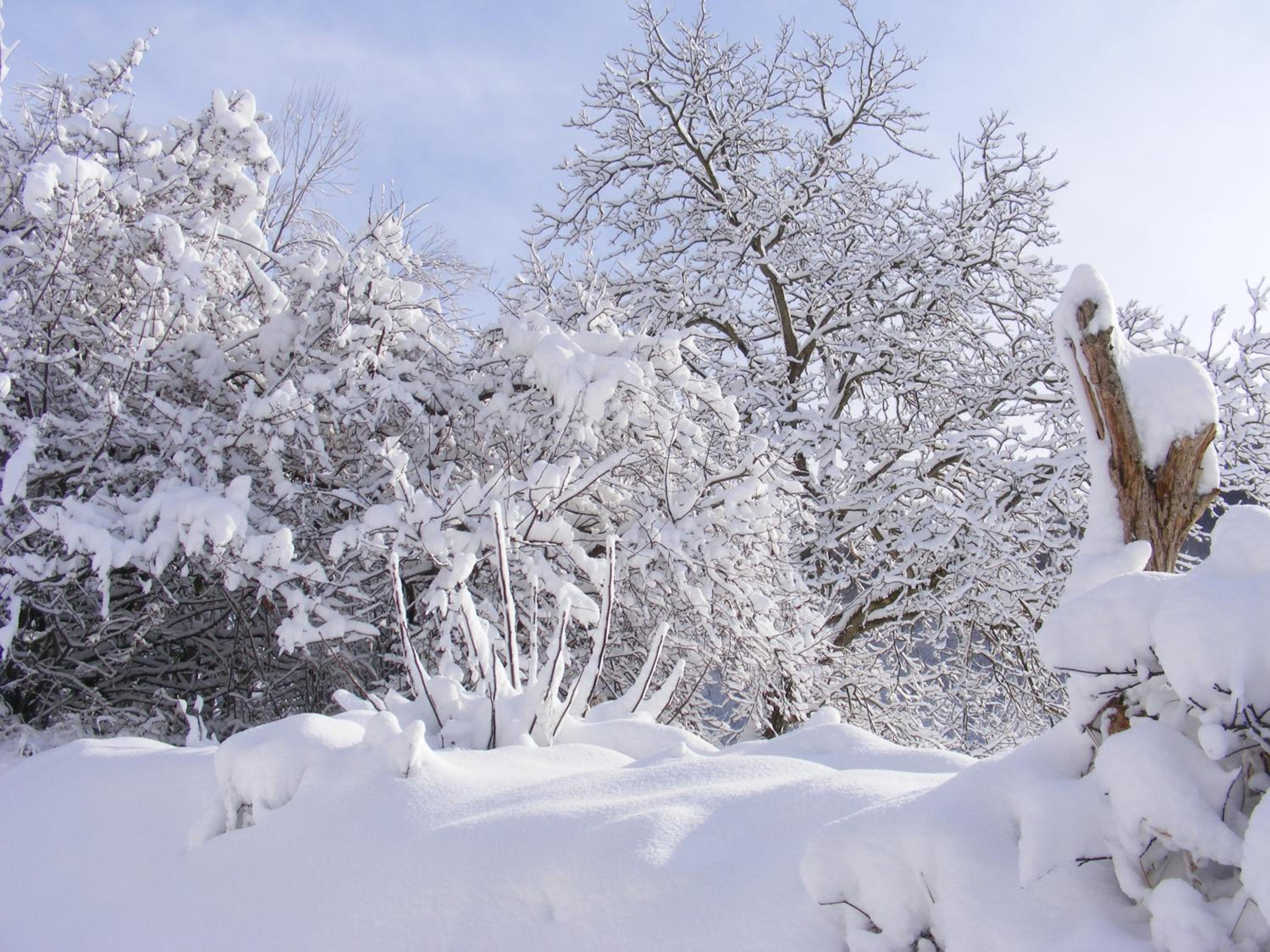 Photo 86