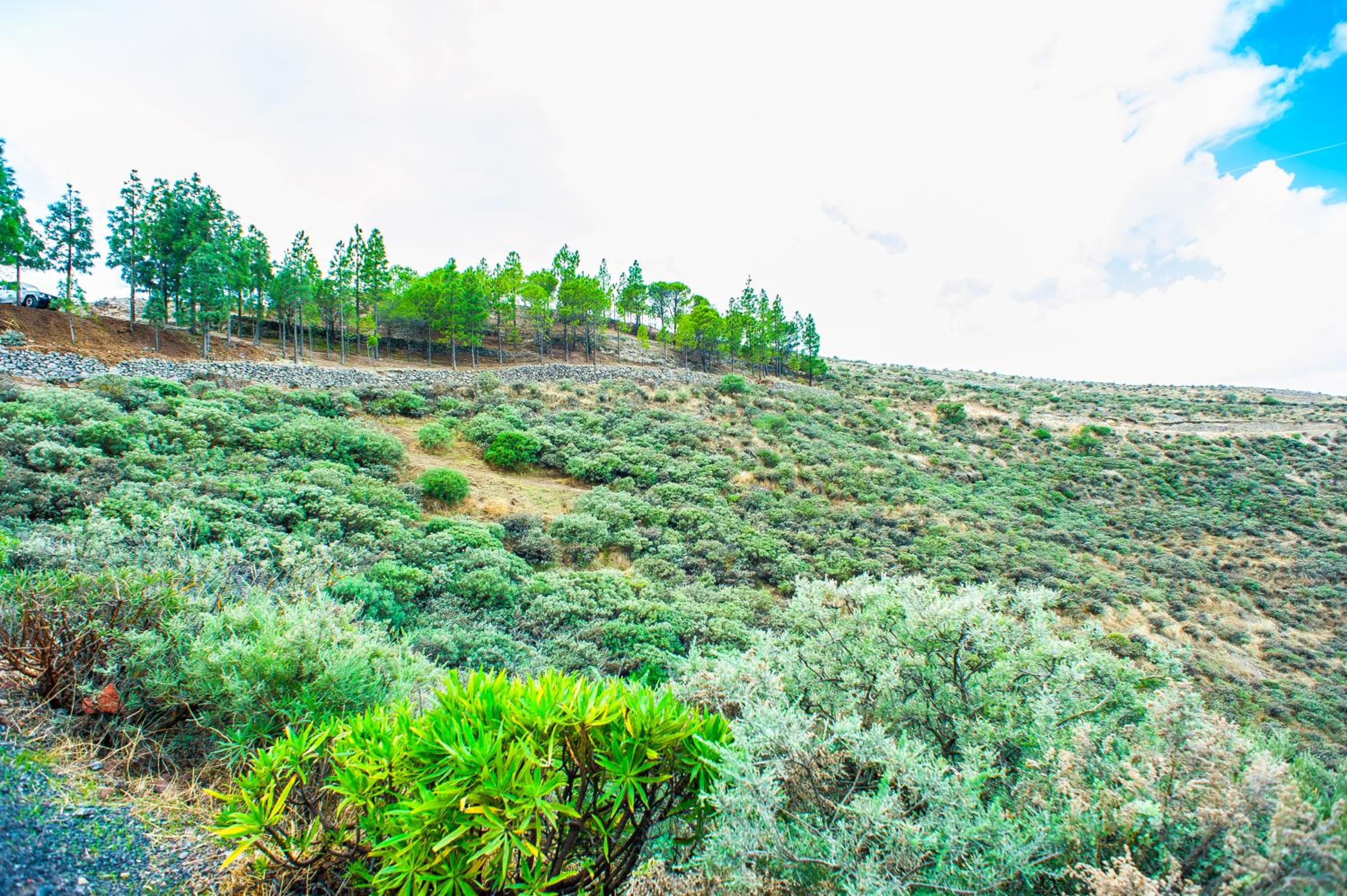 Casa-Cueva El Pastor