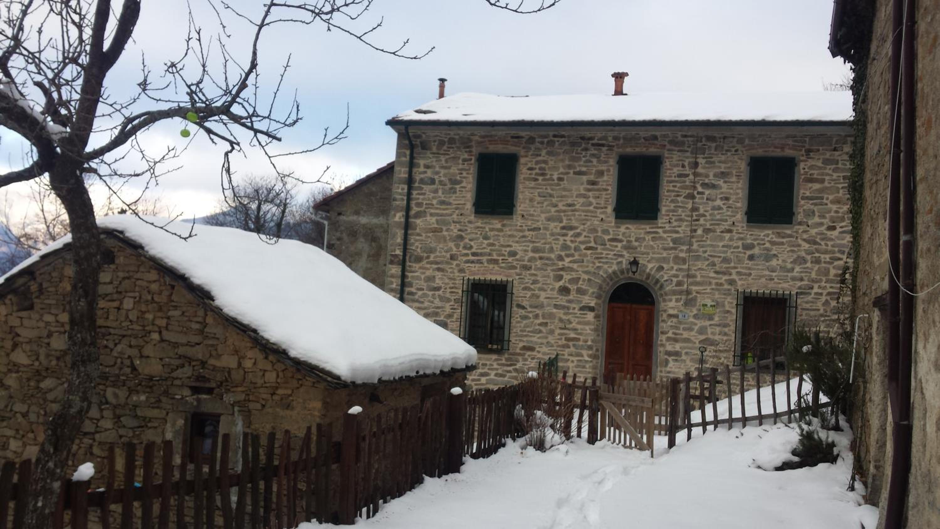 Photo 19