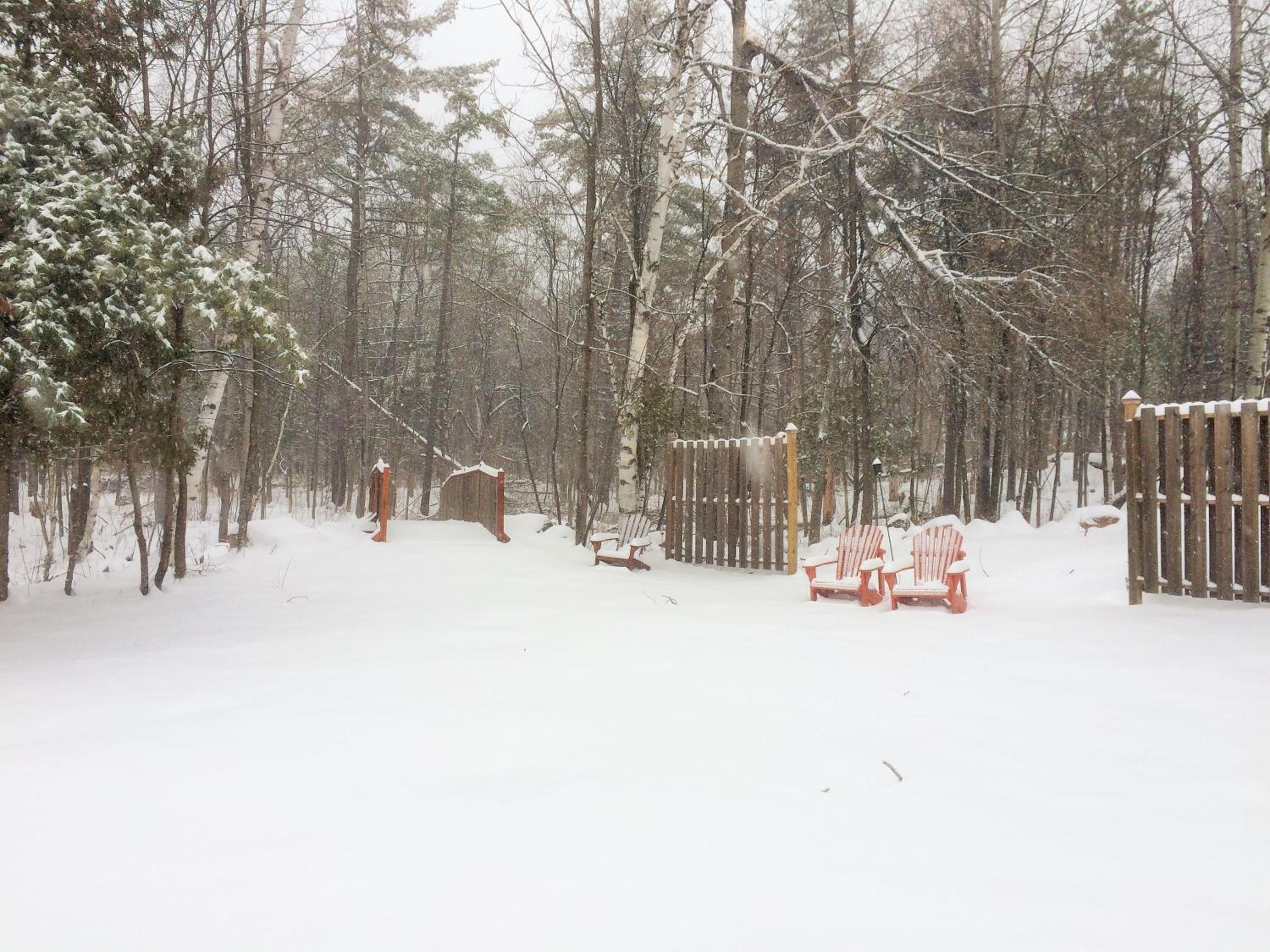 Adirondack Spruce Lodge