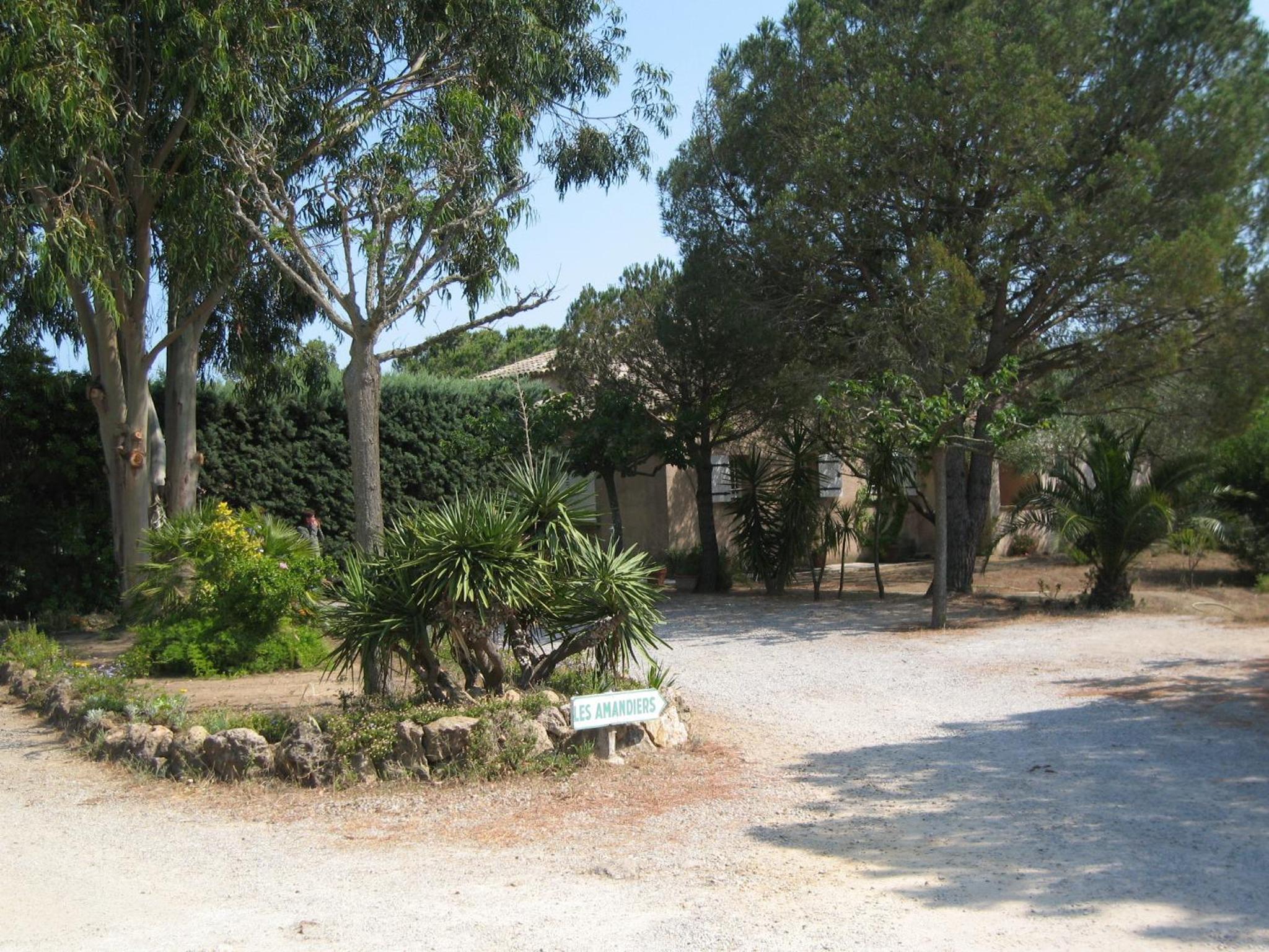 Photo 40