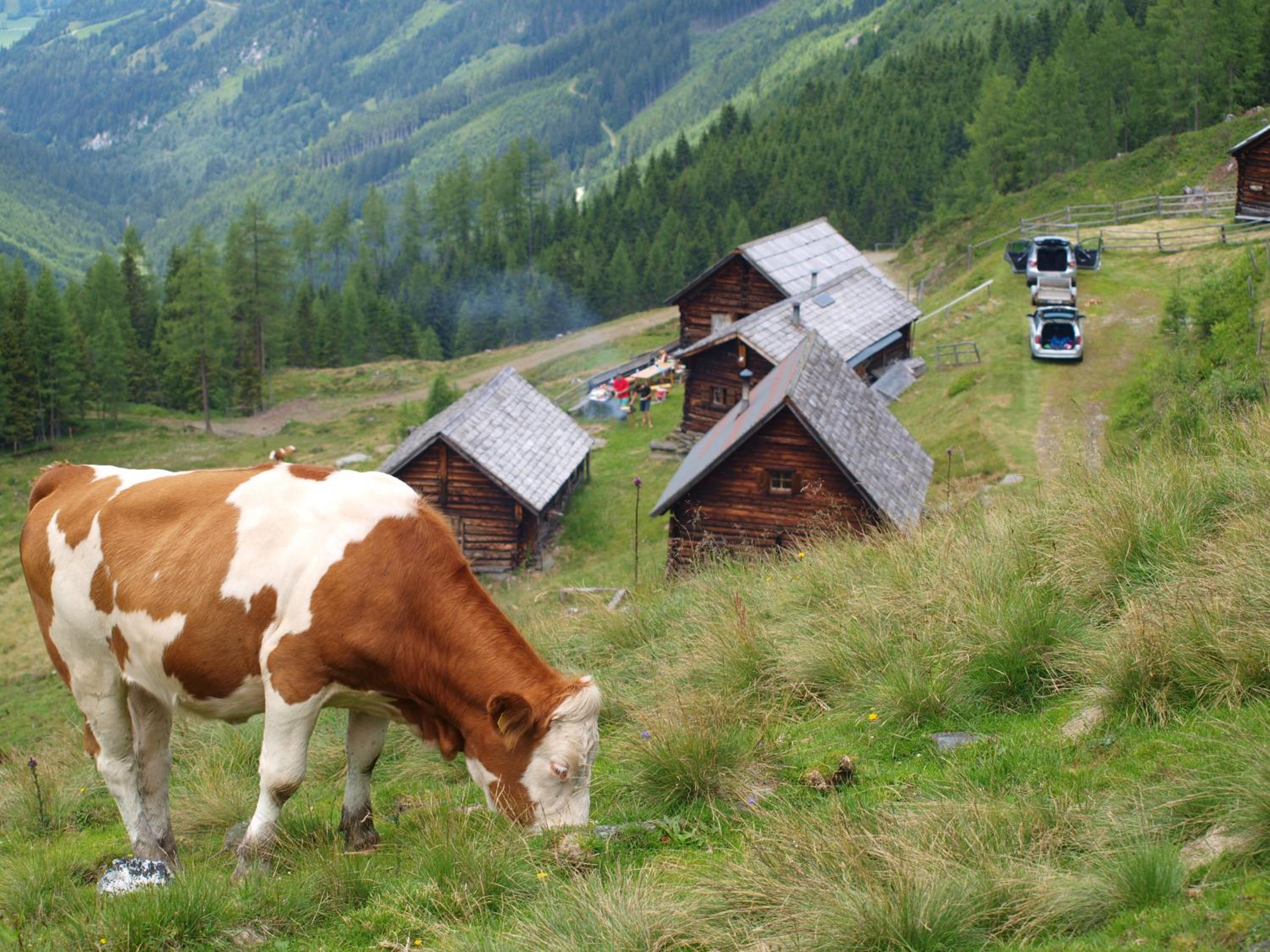 Schirfhof