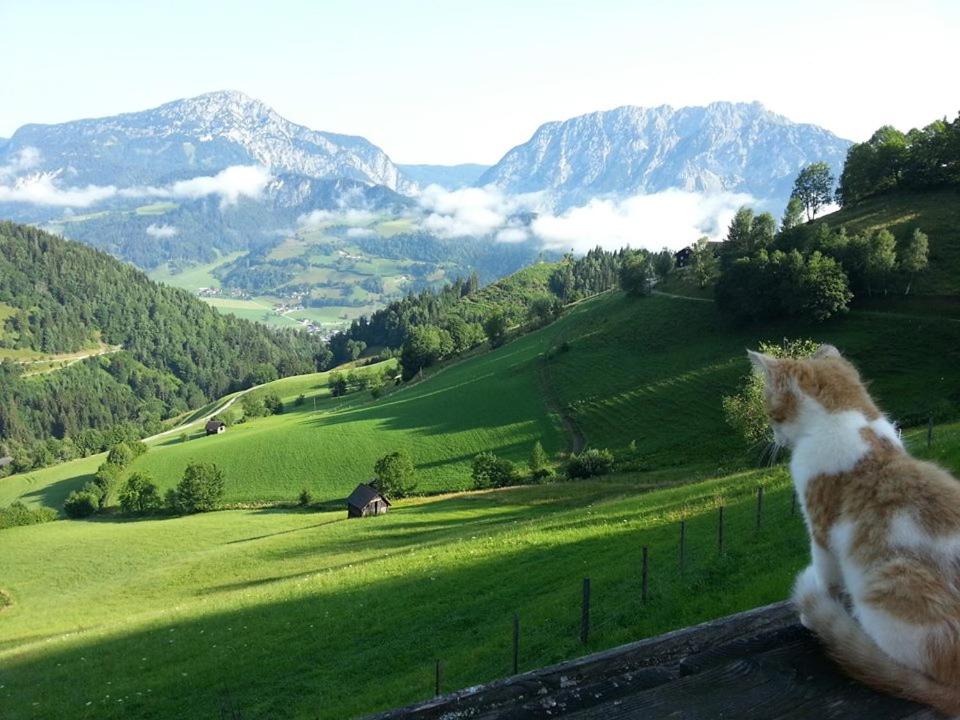 Schirfhof