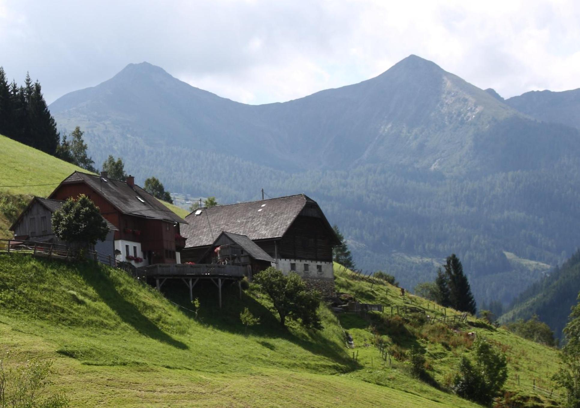 Schirfhof