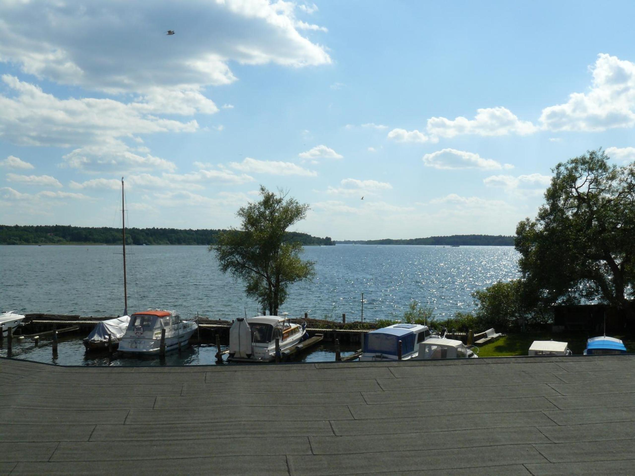 Photo 44