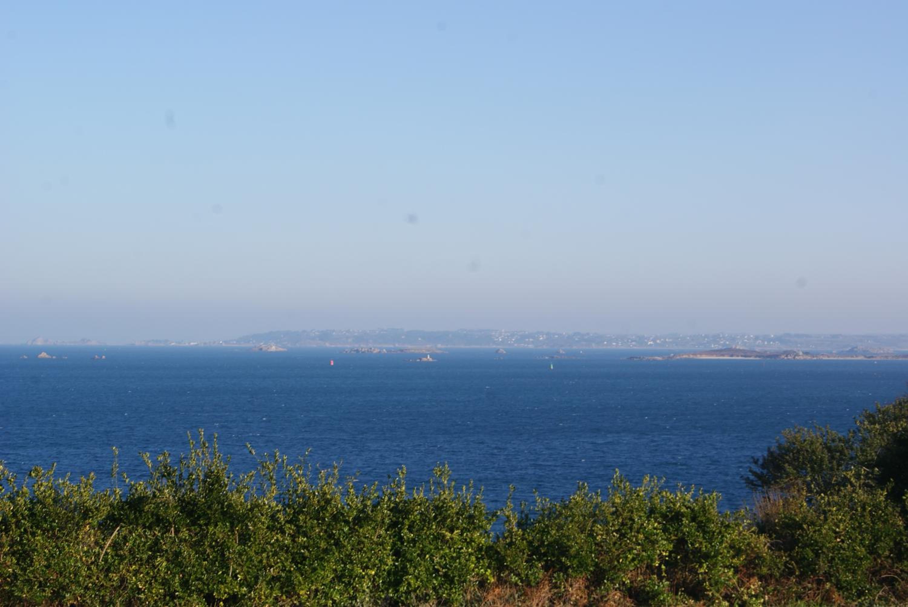 Photo 42