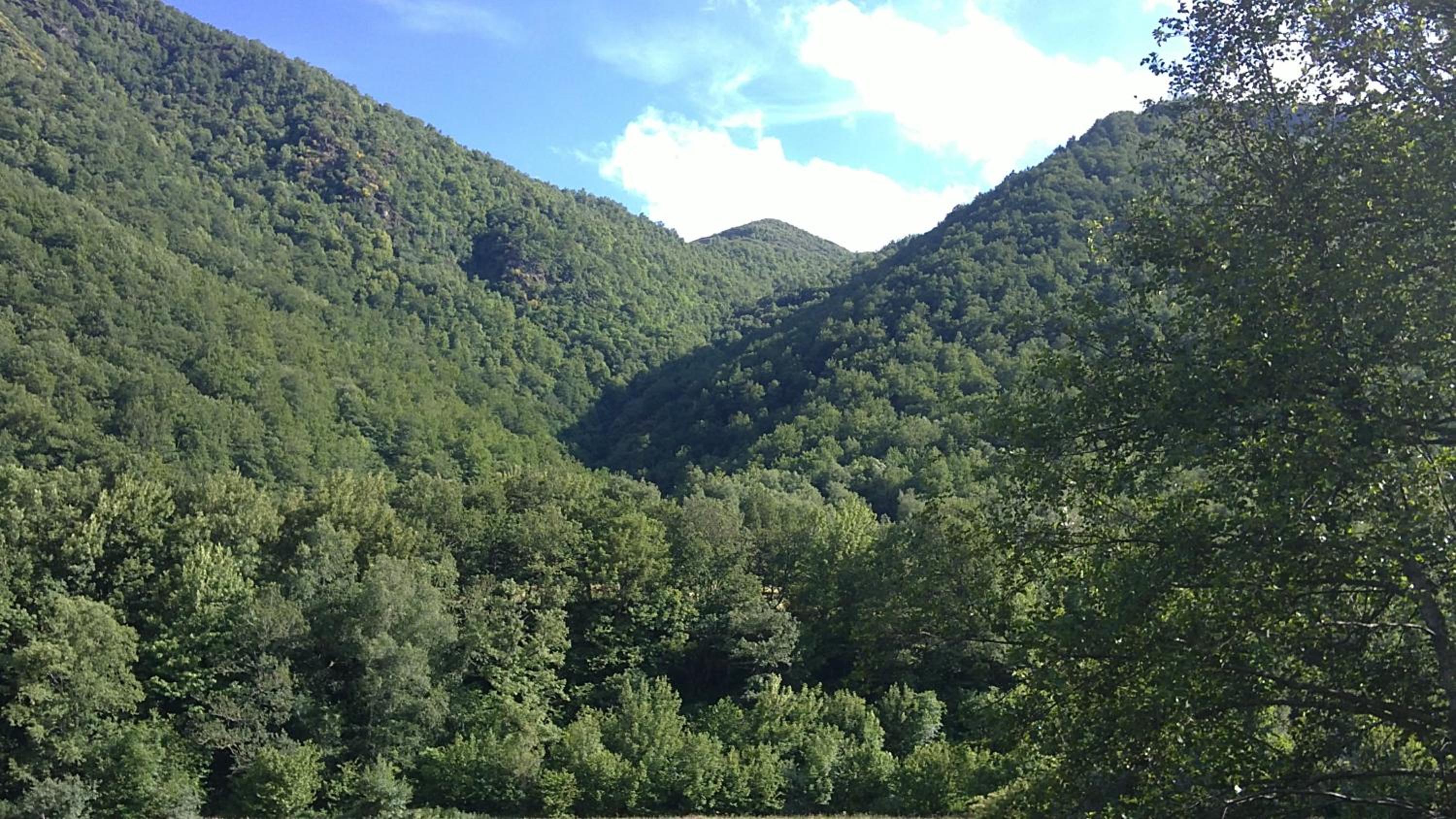 Apartamentos Rurales L´Abiseu