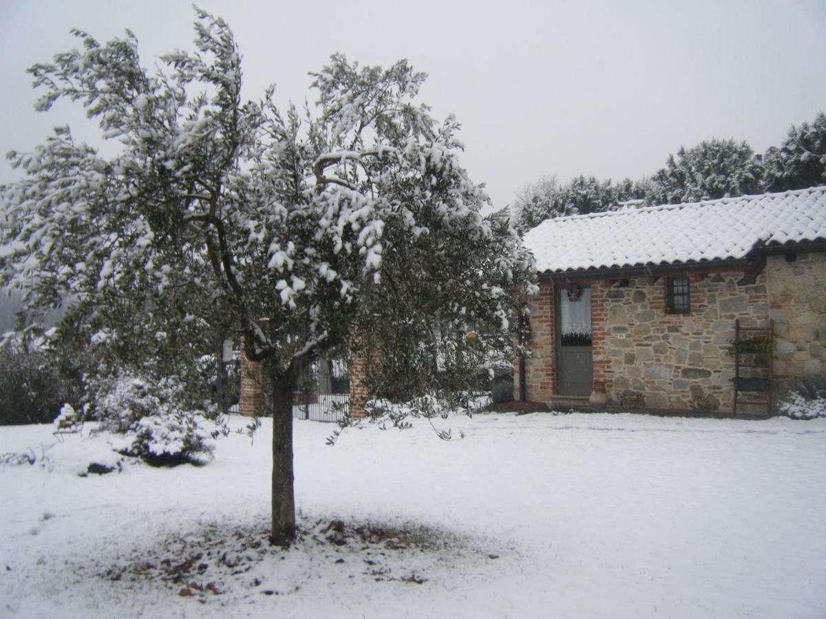 B&B Il Salice