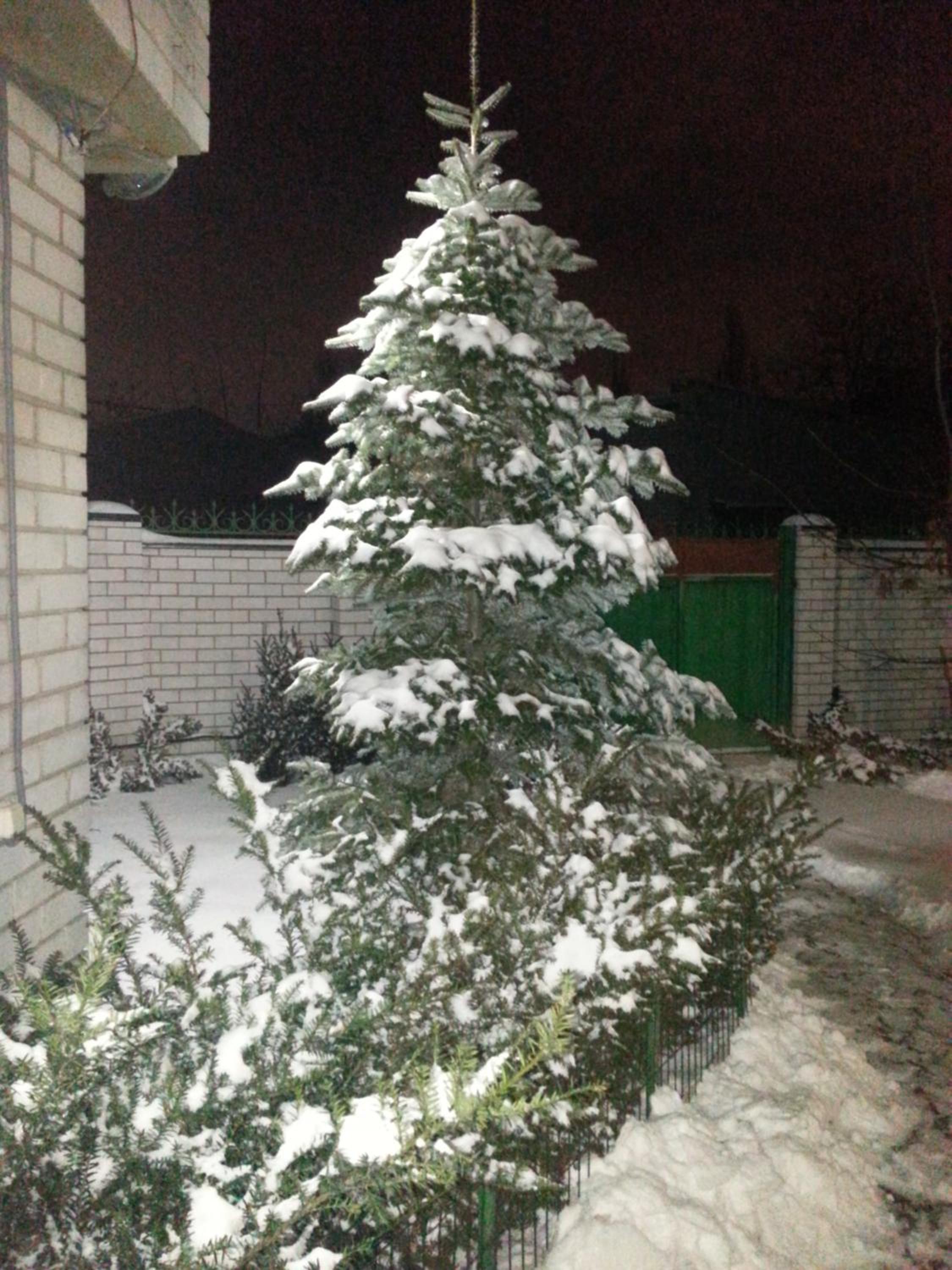 Photo 30
