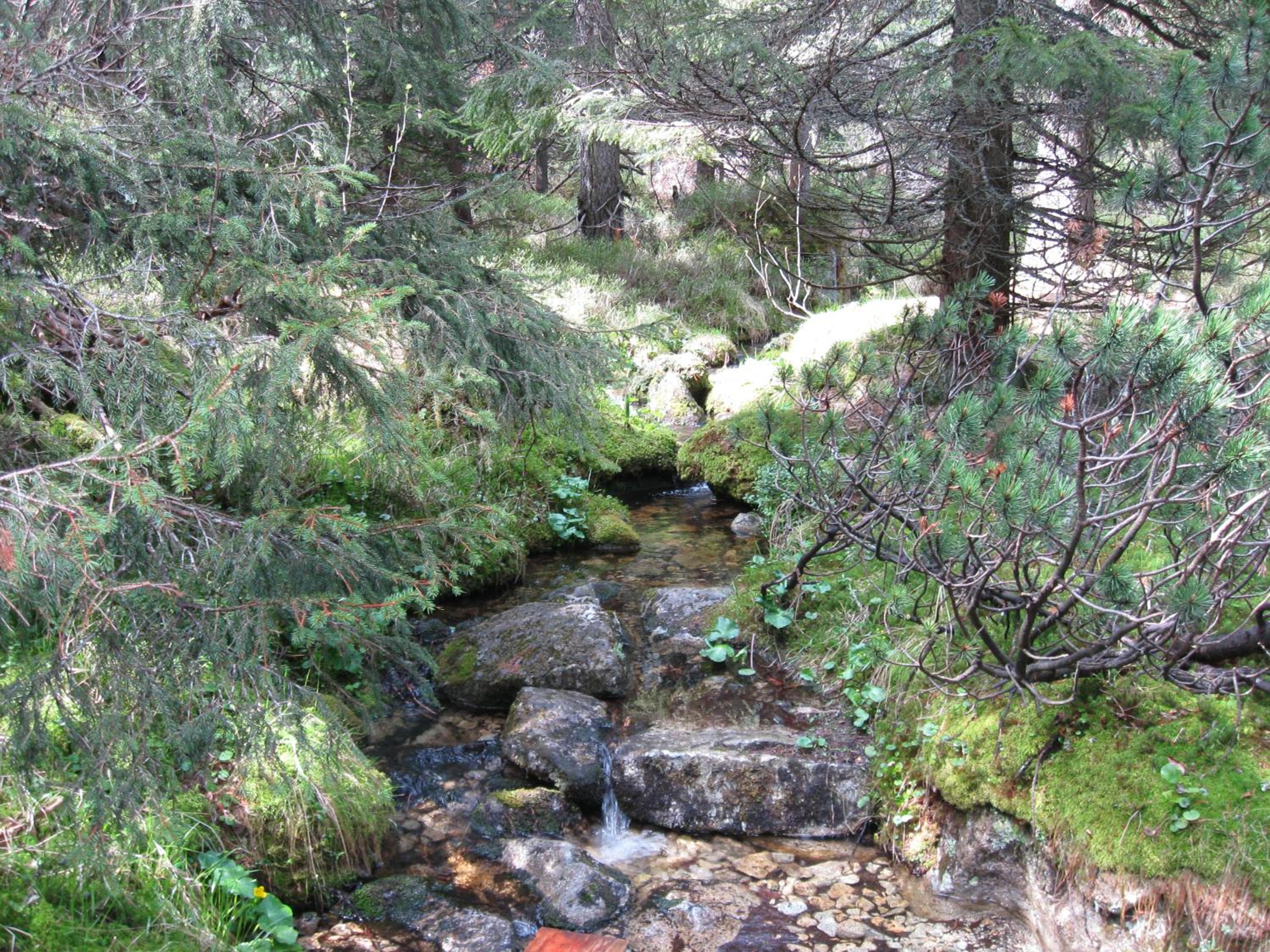 Photo 30