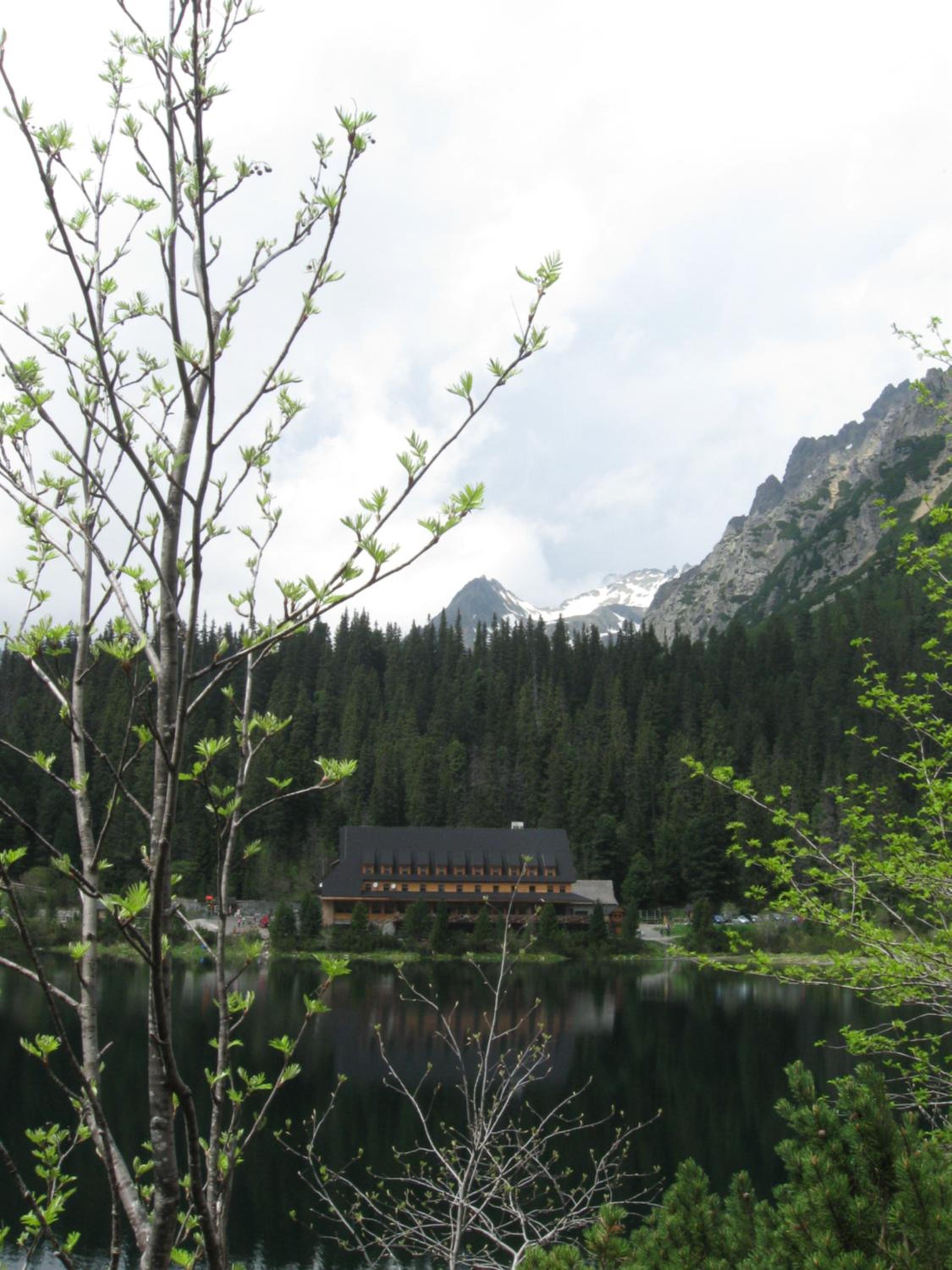 Photo 29