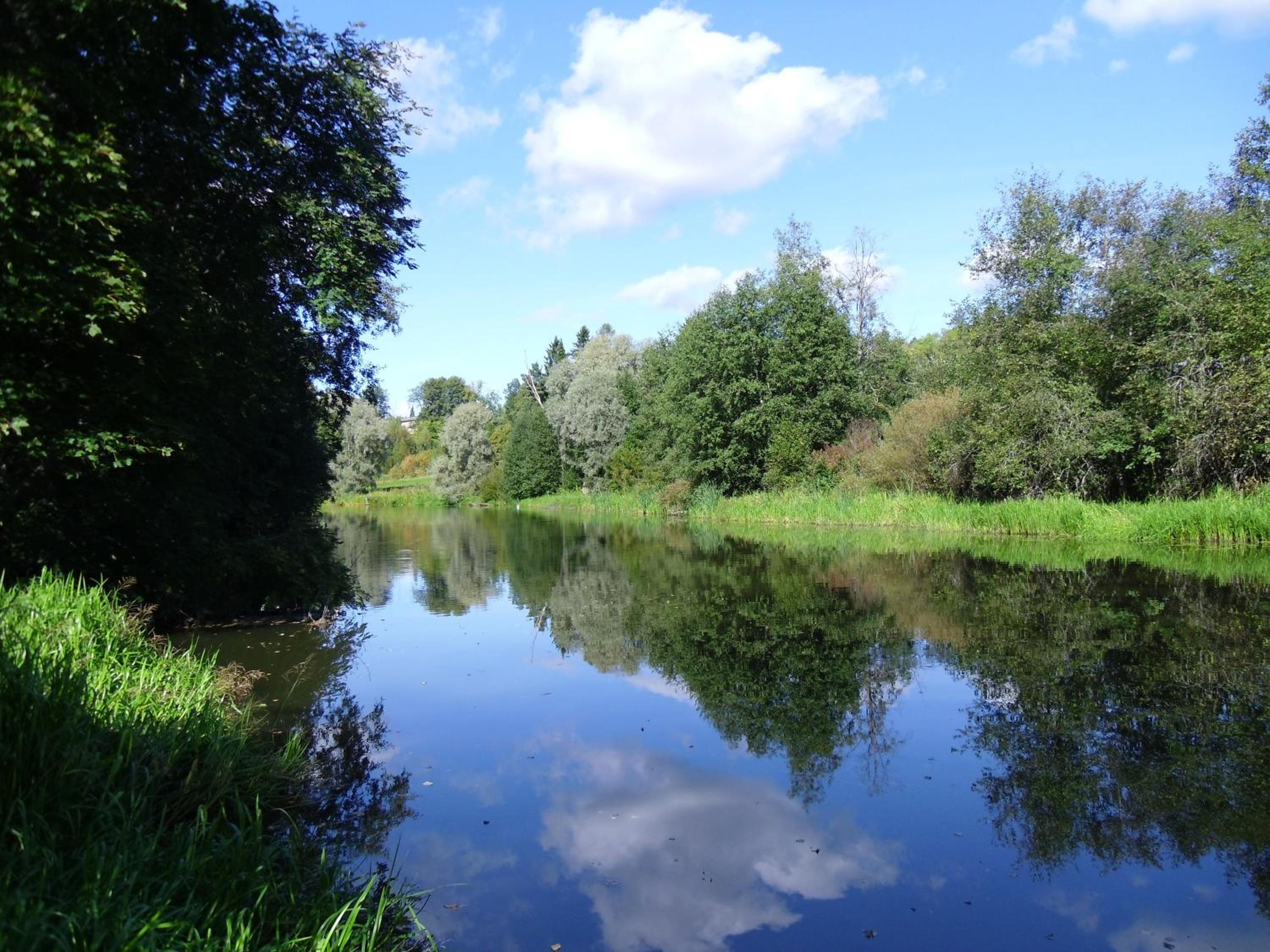 Photo 47