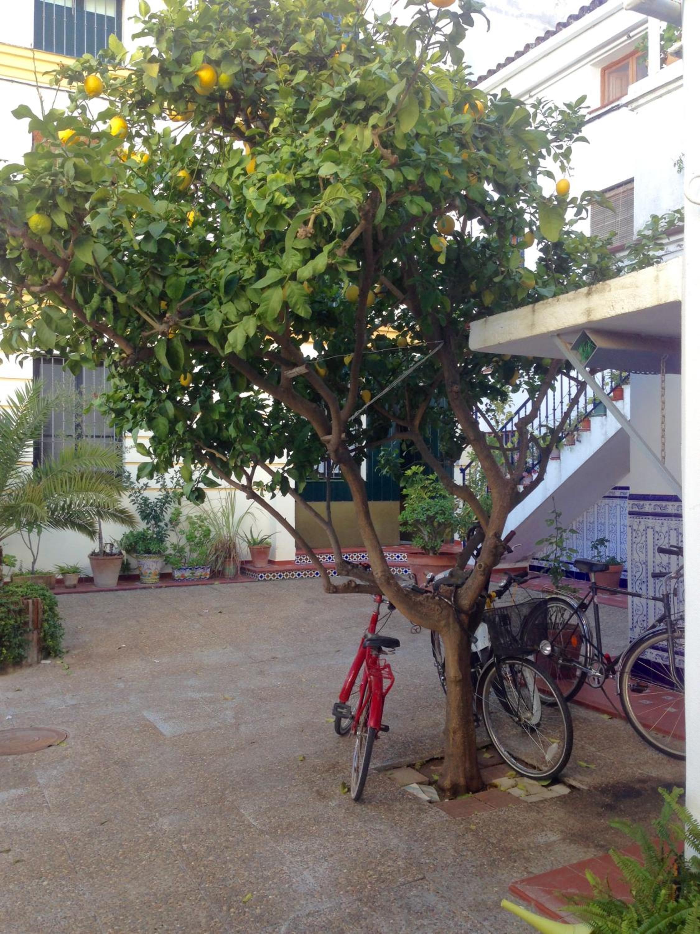 Casas de Sevilla - Apartamento Puente de Triana view 4