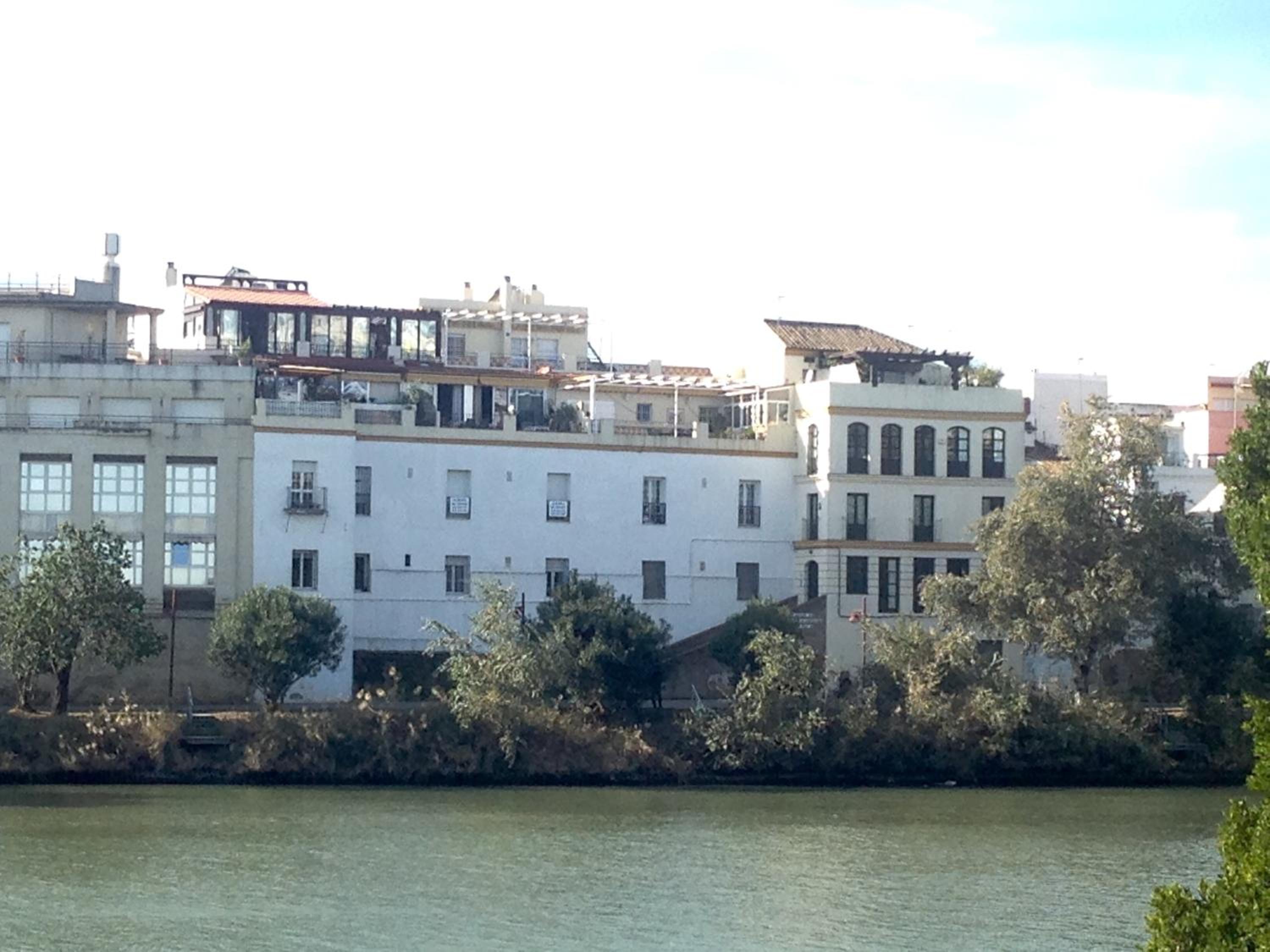 Casas de Sevilla - Apartamento Puente de Triana view 5