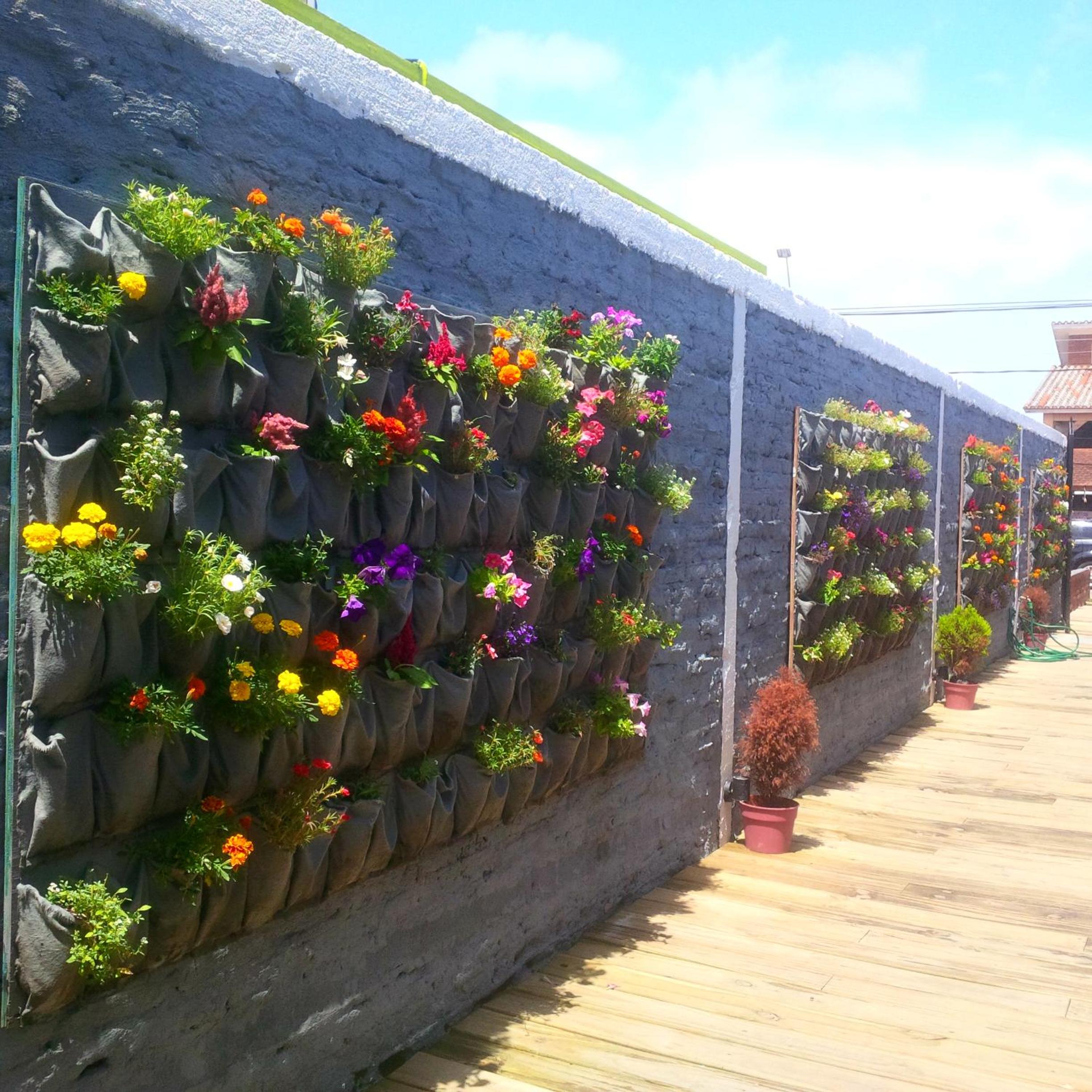 Del Barcito Hostel and Suites view 3