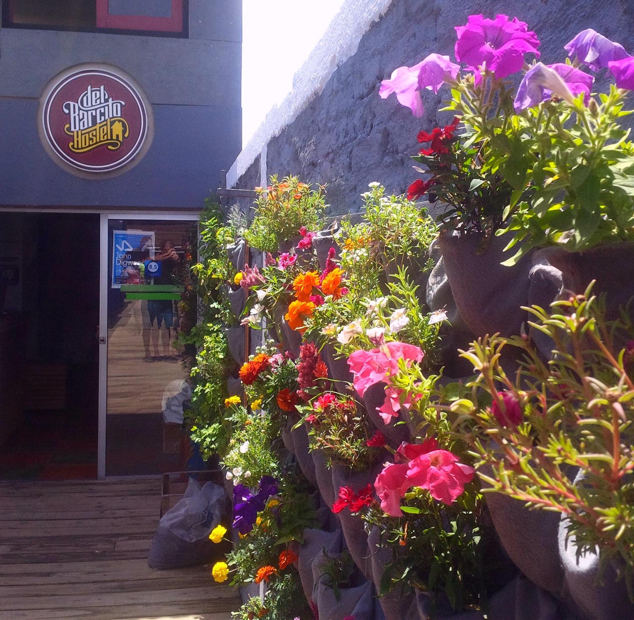 Del Barcito Hostel and Suites view 2