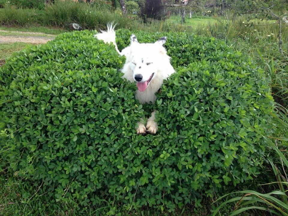 Photo 139