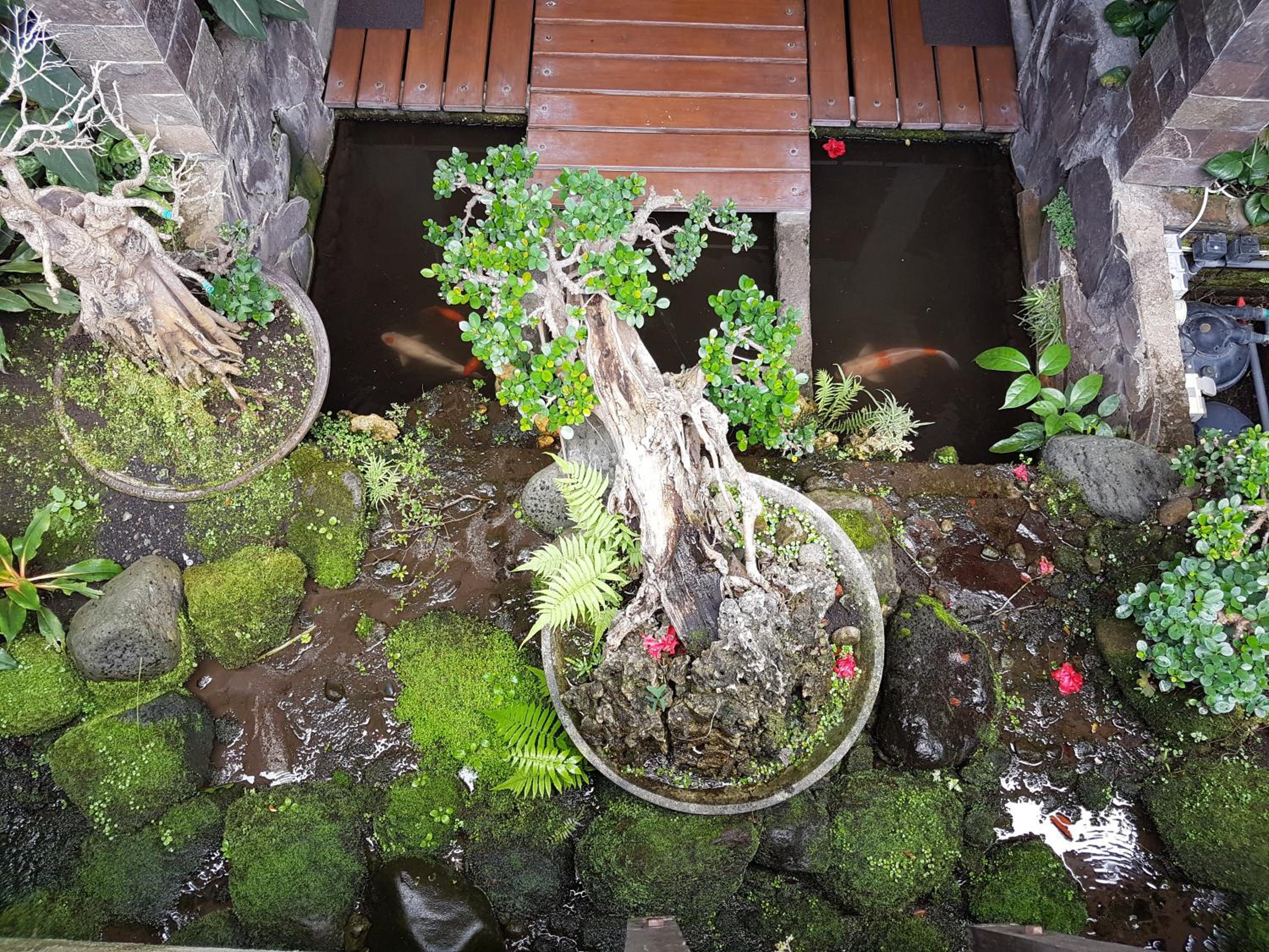 Photo 15