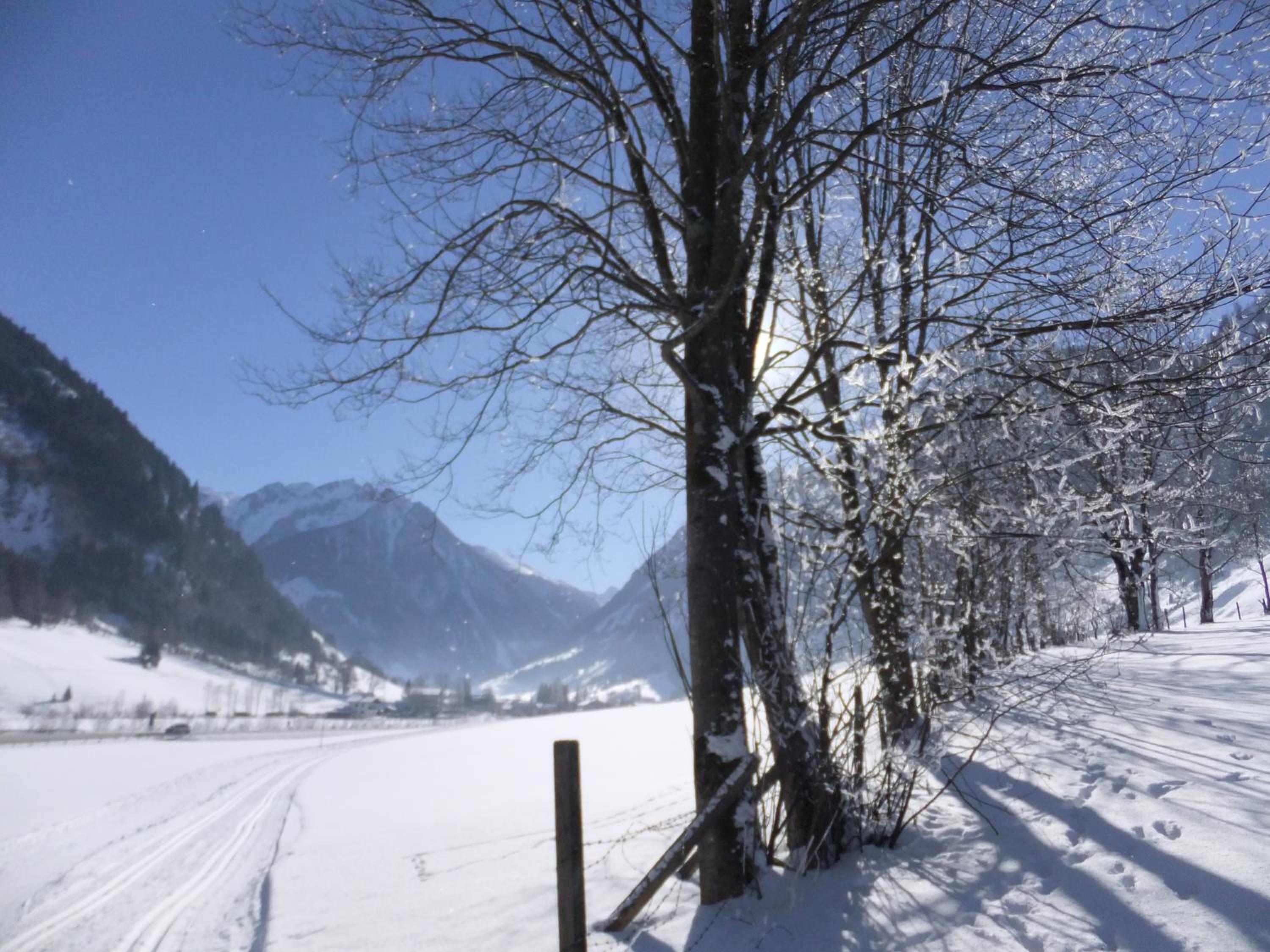 Apart-Pension Oberreiter