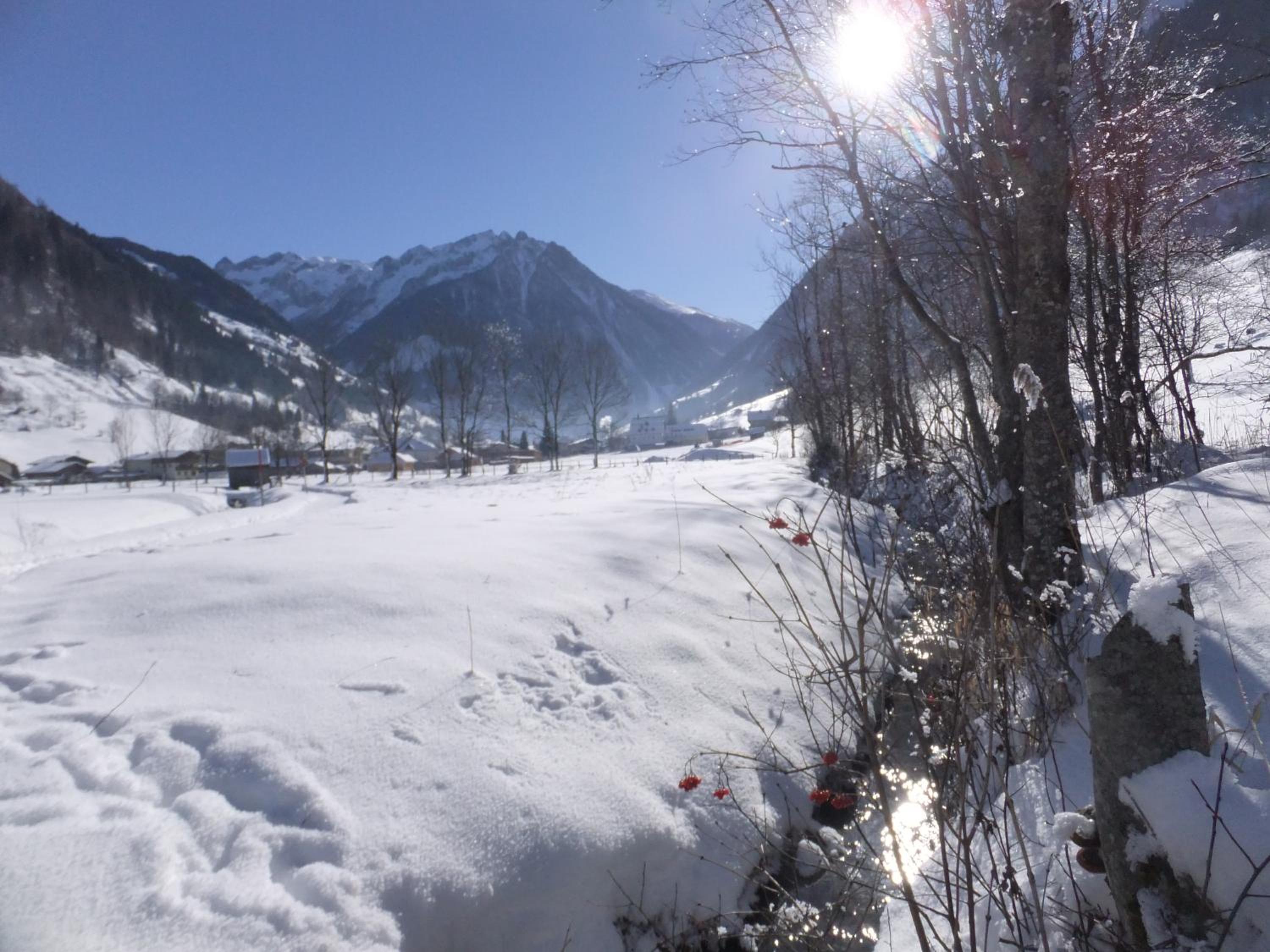 Apart-Pension Oberreiter