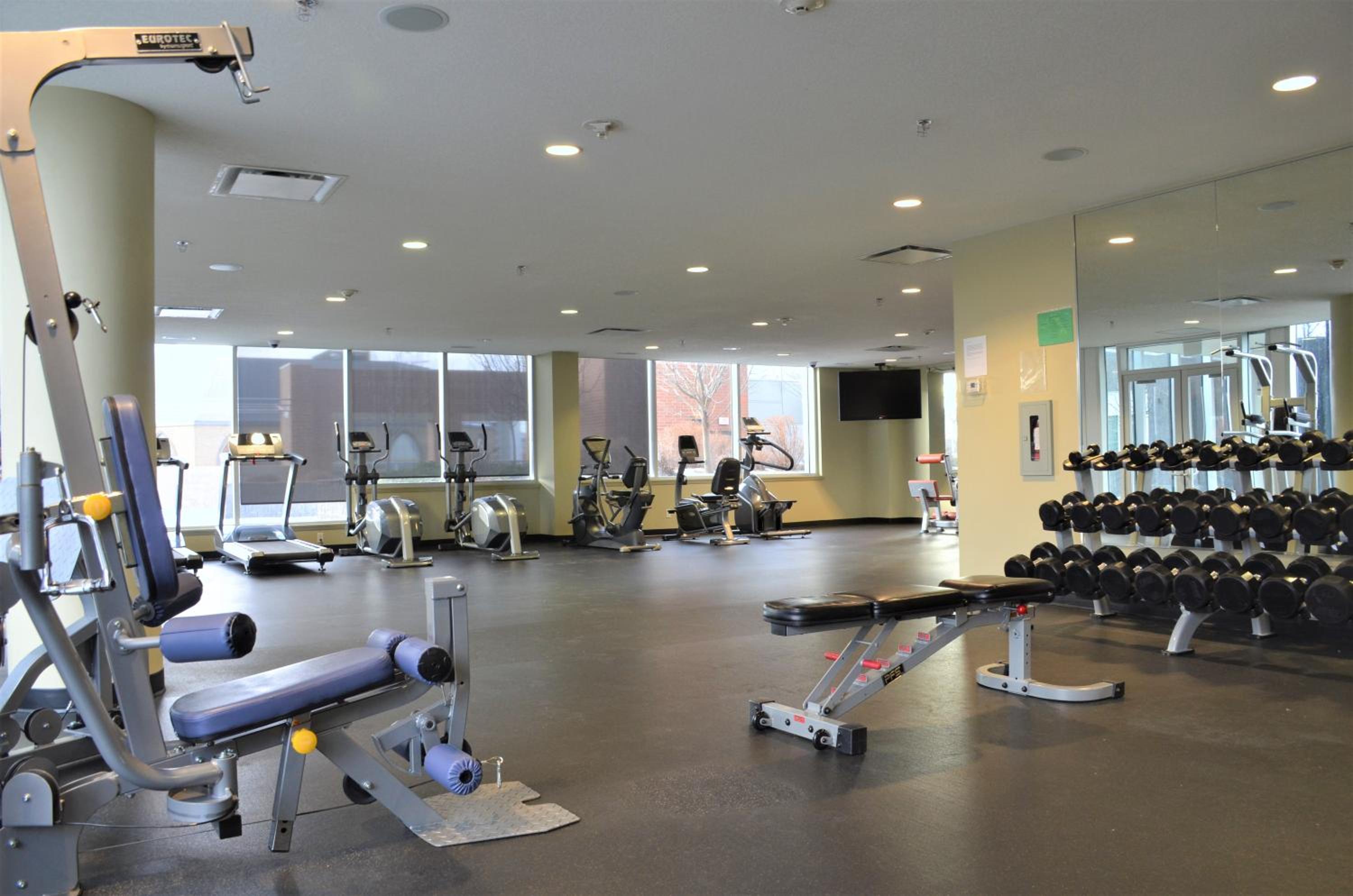 Monki Di Executive Suites - Alura