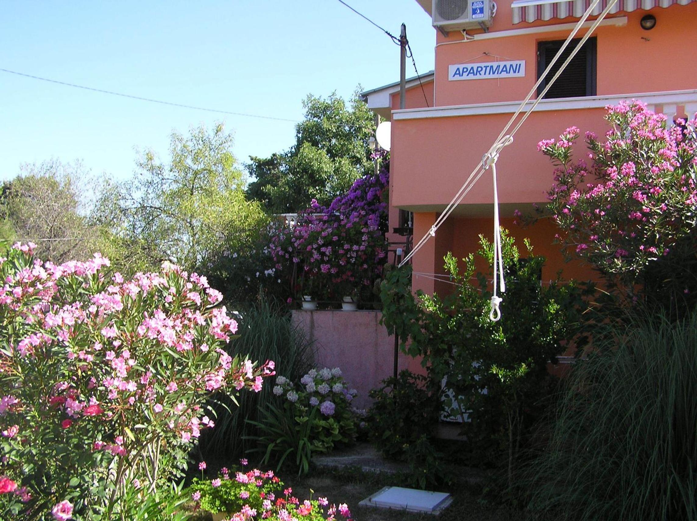 Photo 37