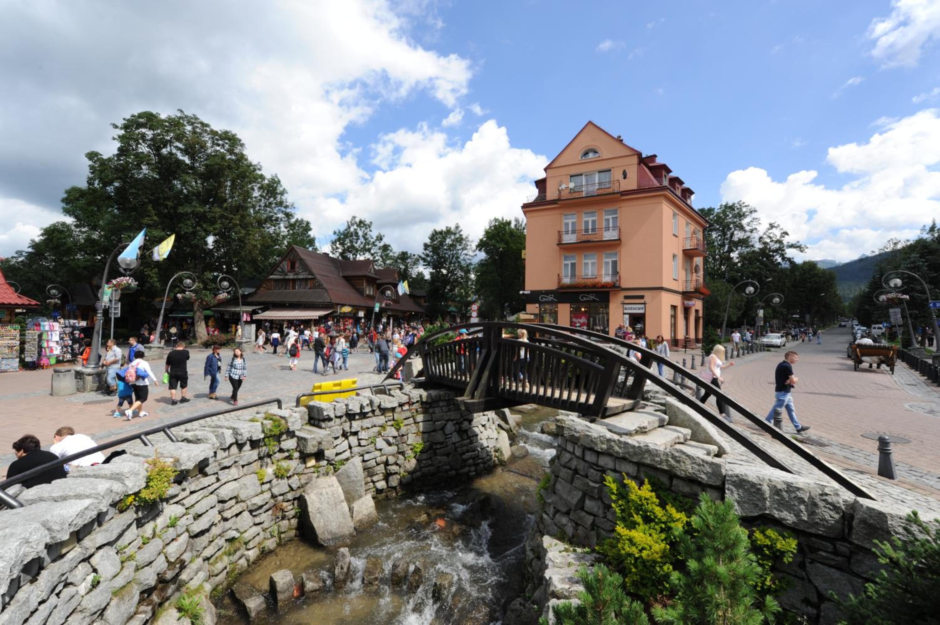 Geovita Zakopane — photo 83