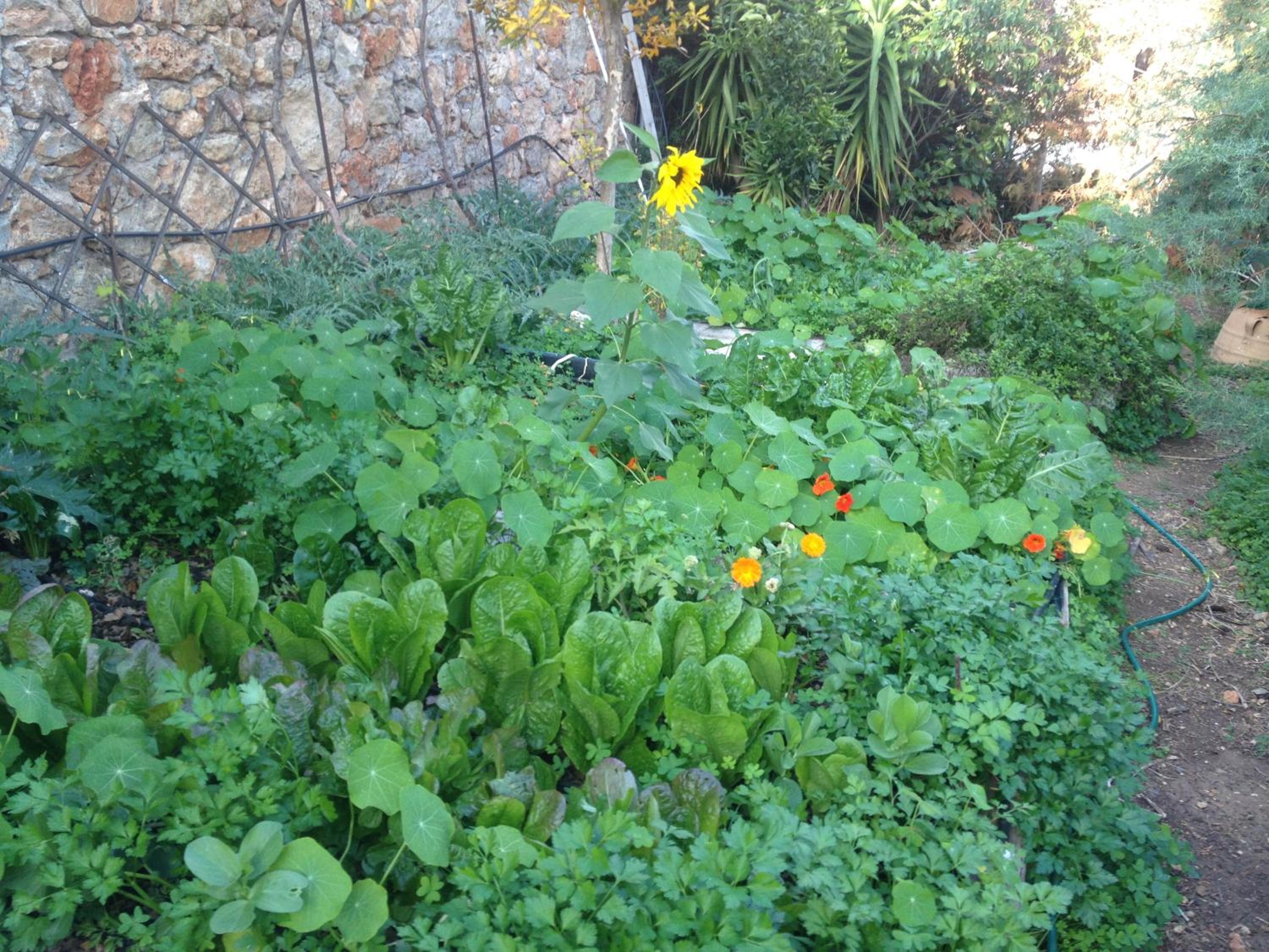 Photo 34