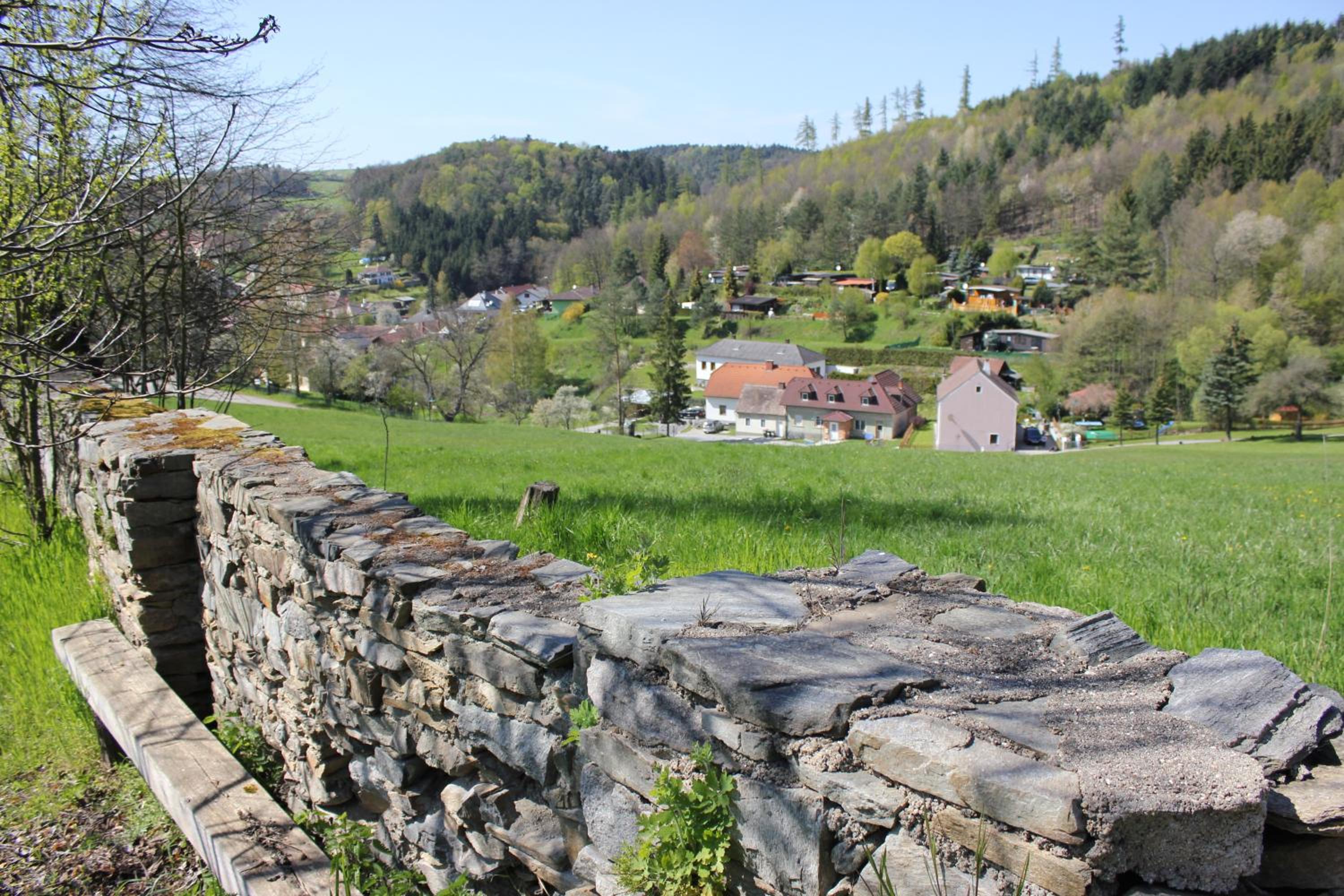 Ferienwohnung Zum alten Forsthaus
