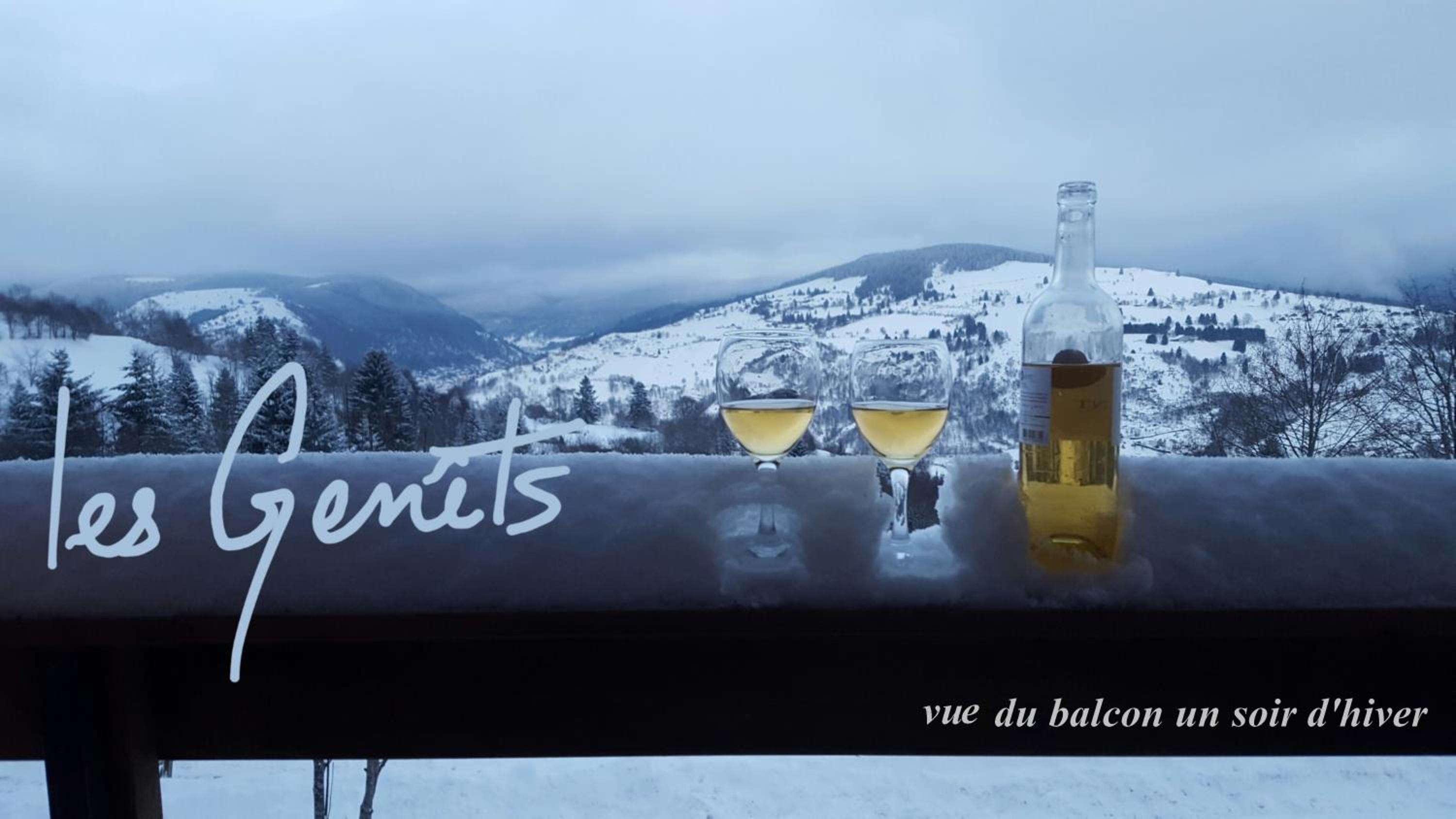 les Genêts view 4