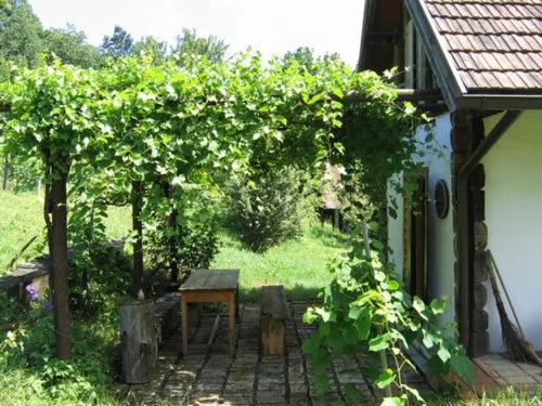 Weinek's Weinlodge