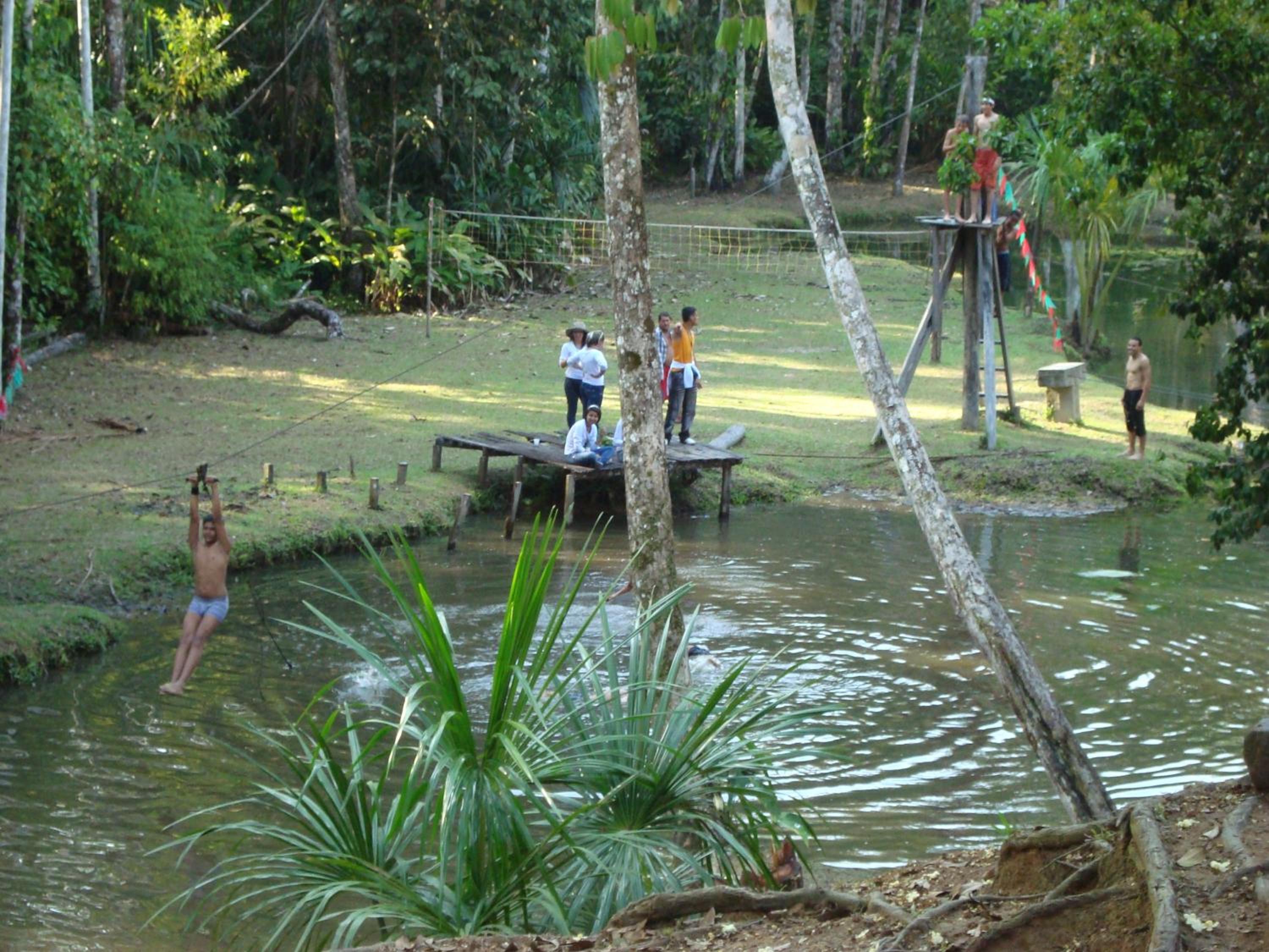 Photo 45