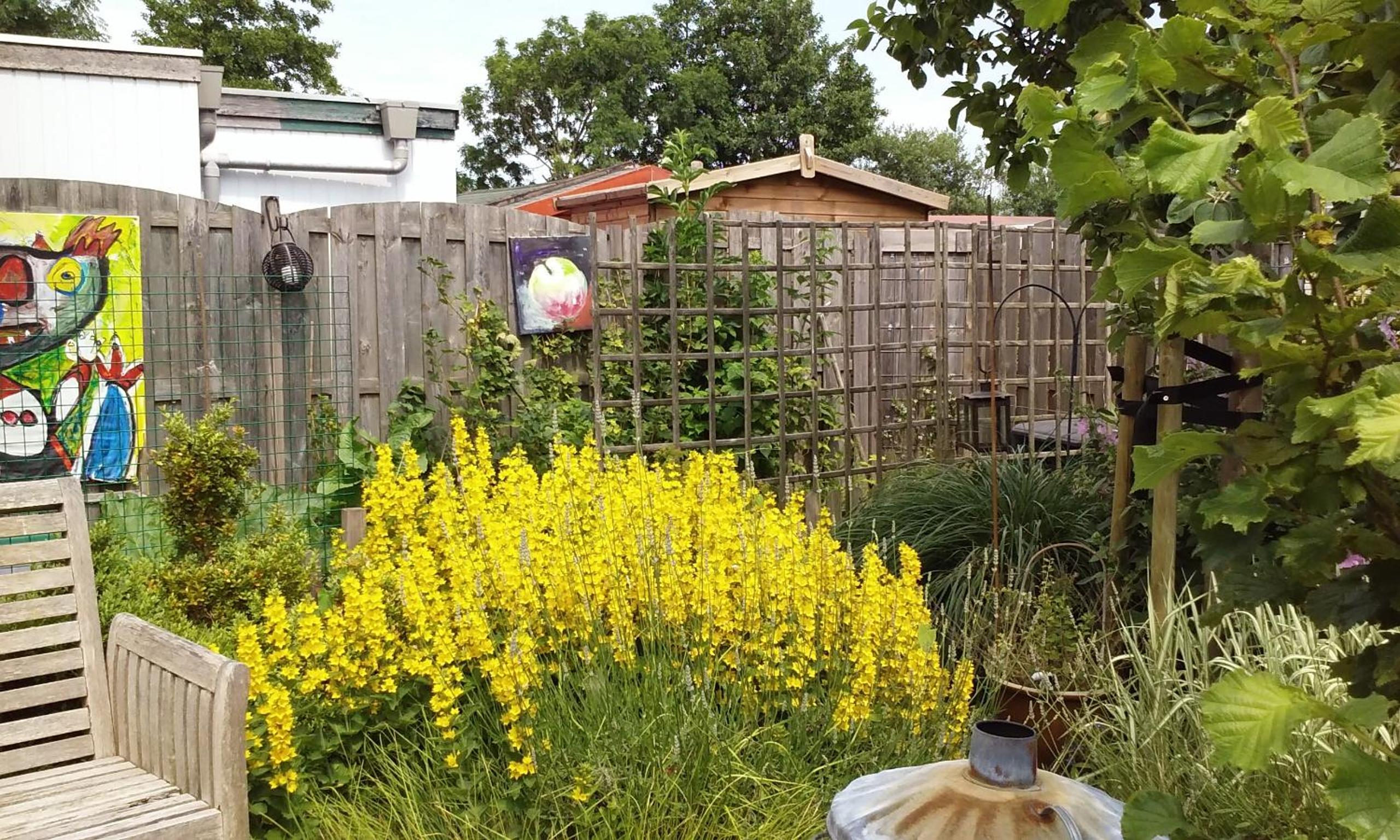 Photo 24