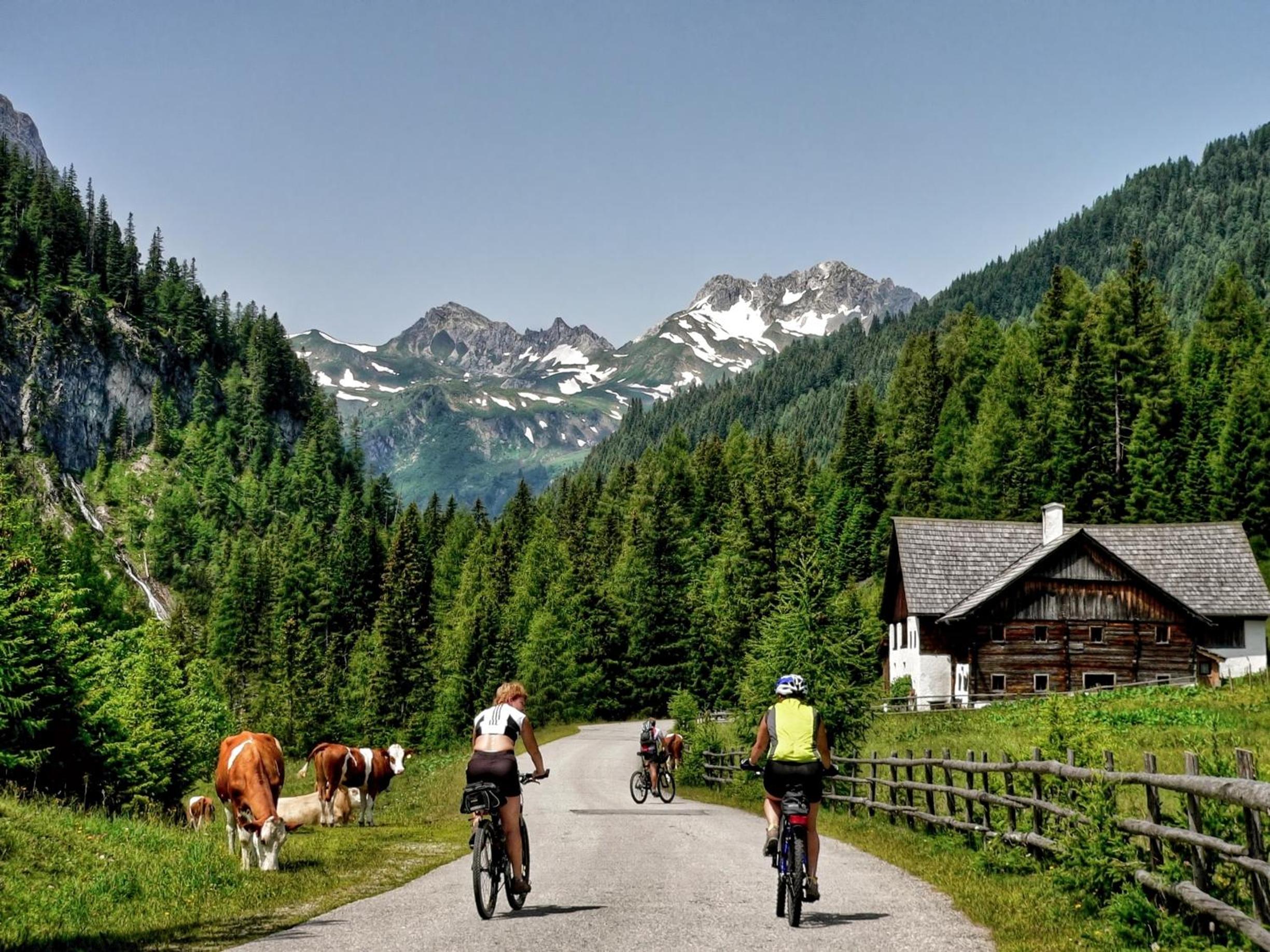 Haus Agnes, Murau view 2