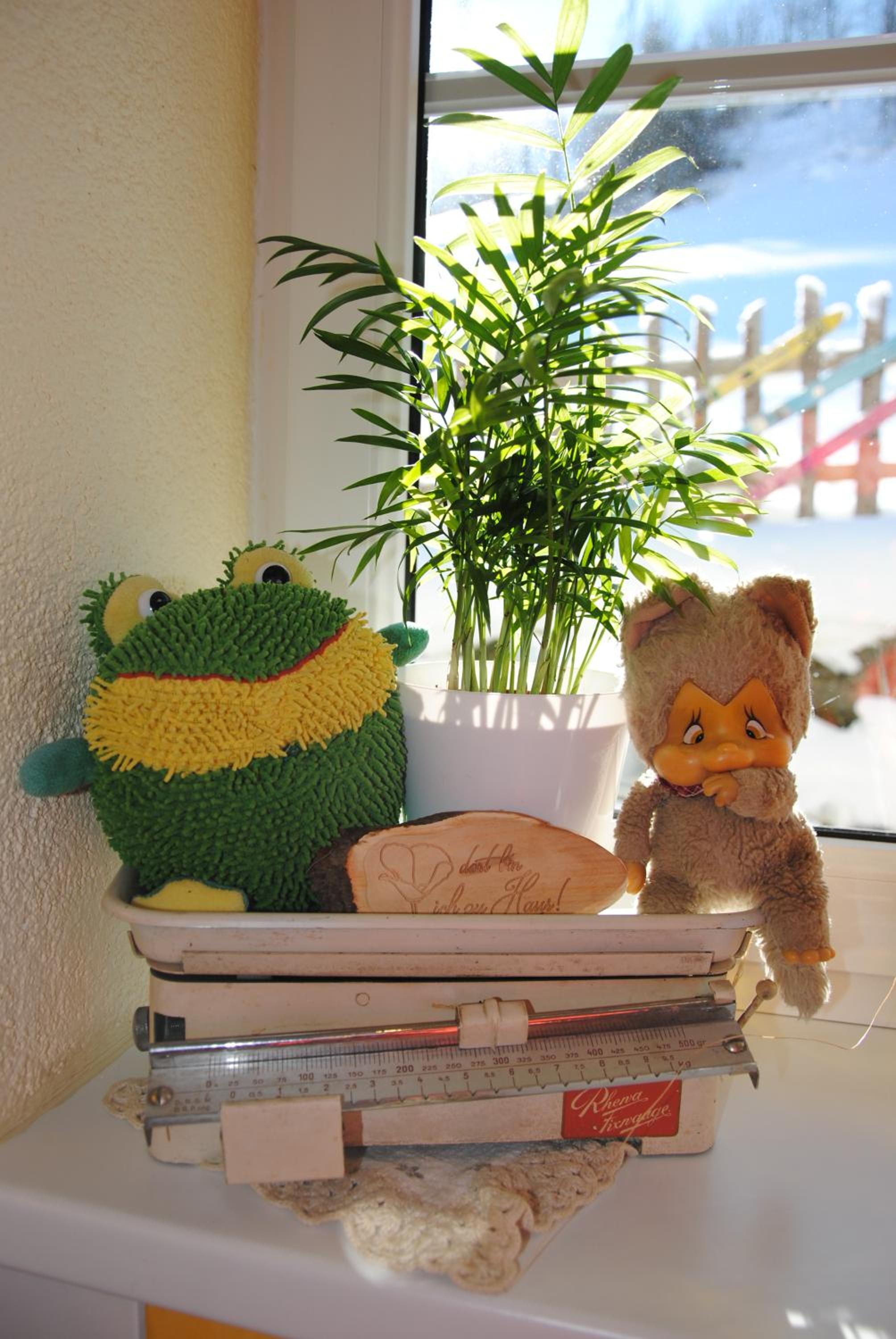 Photo 11