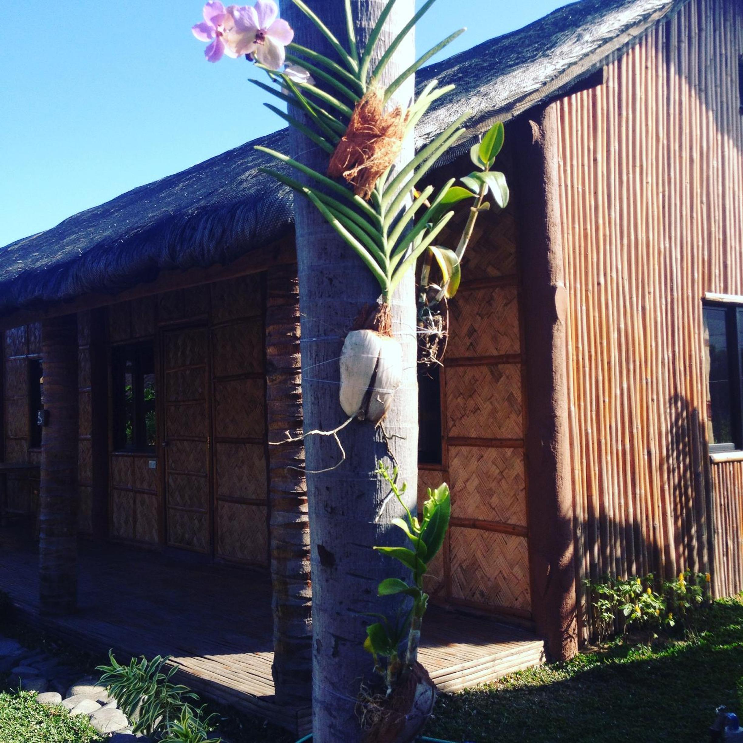 Calayo Beach Resort