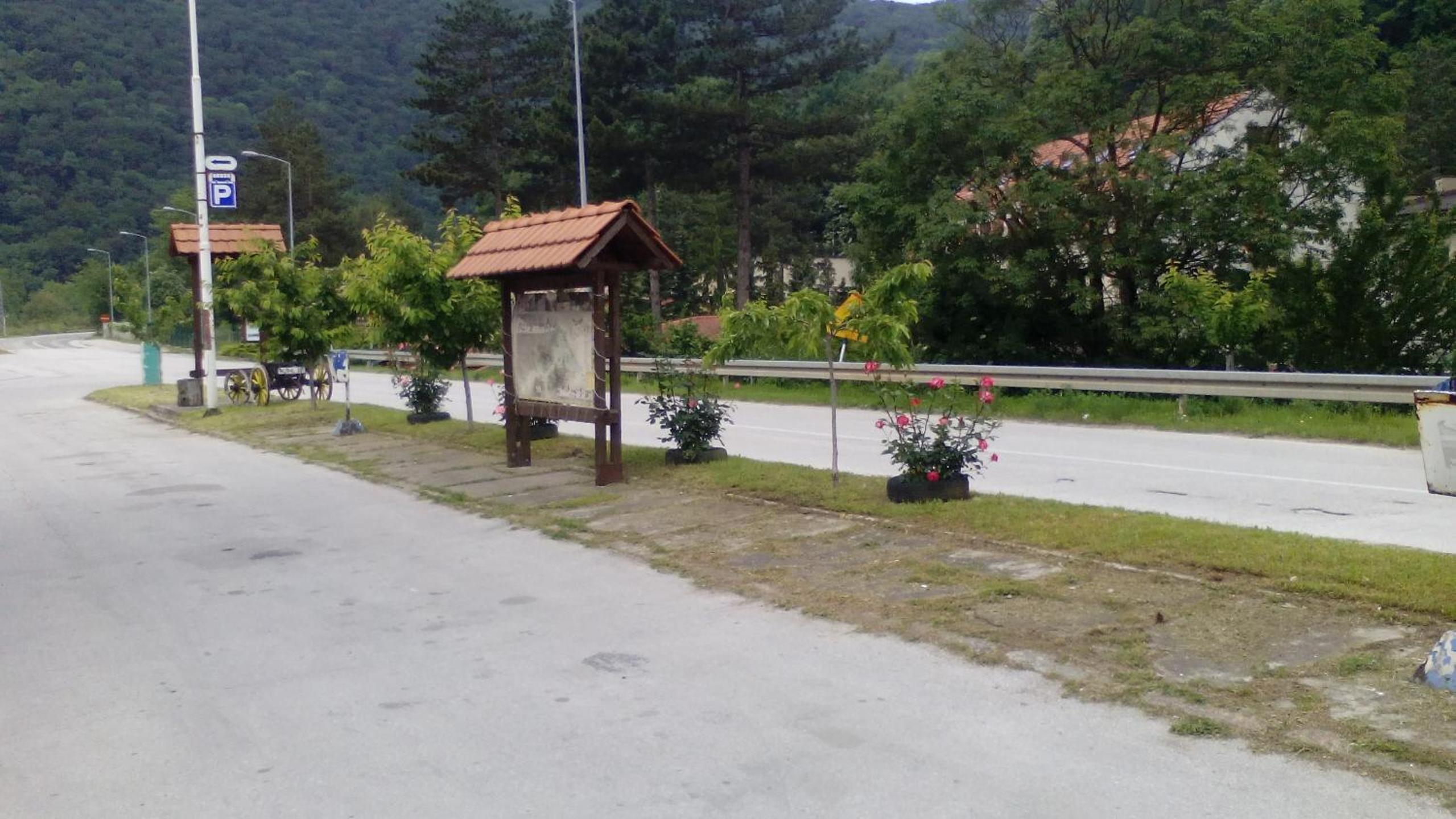 Photo 10