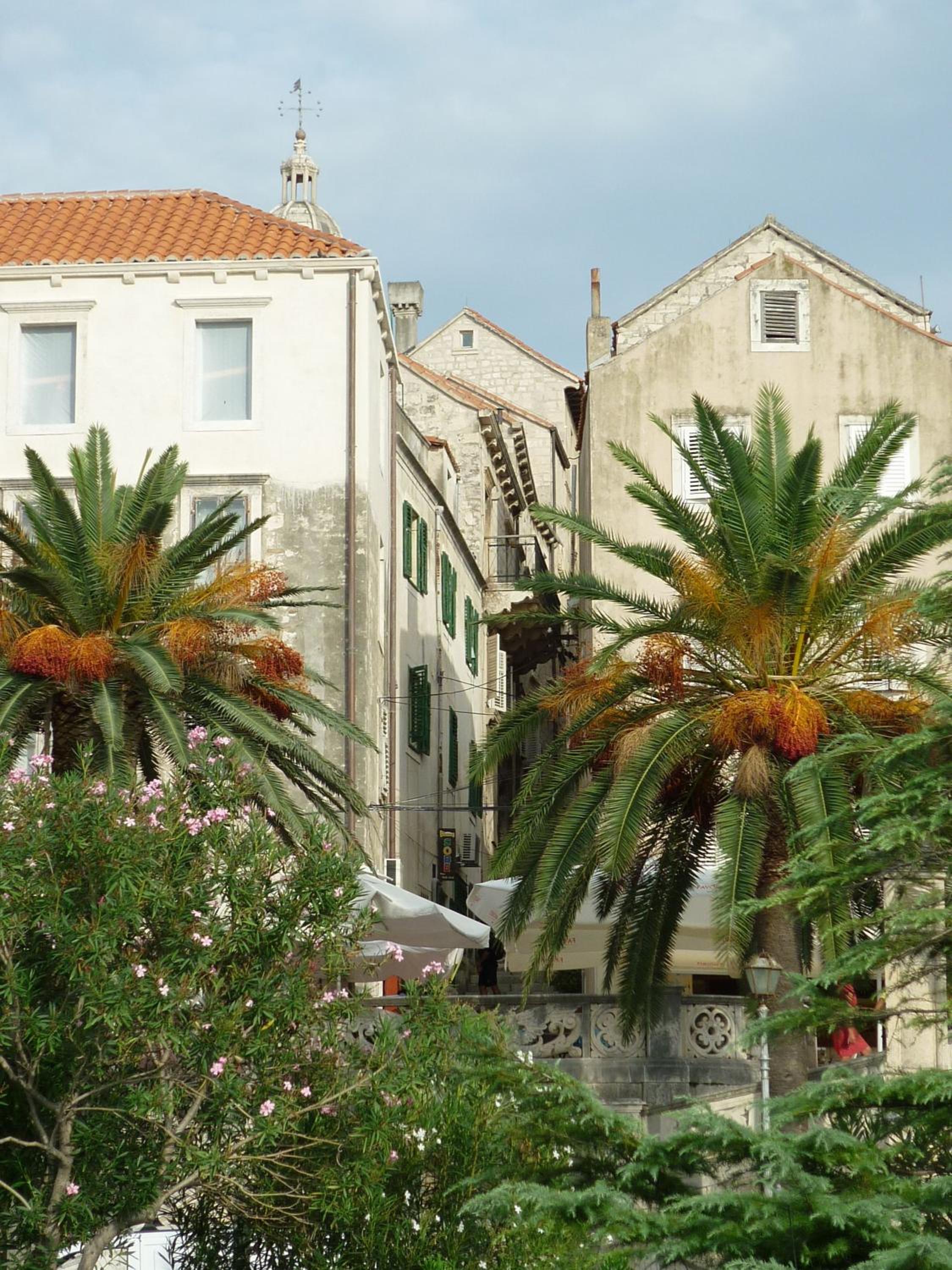 Accommodation Old Town Vitaic