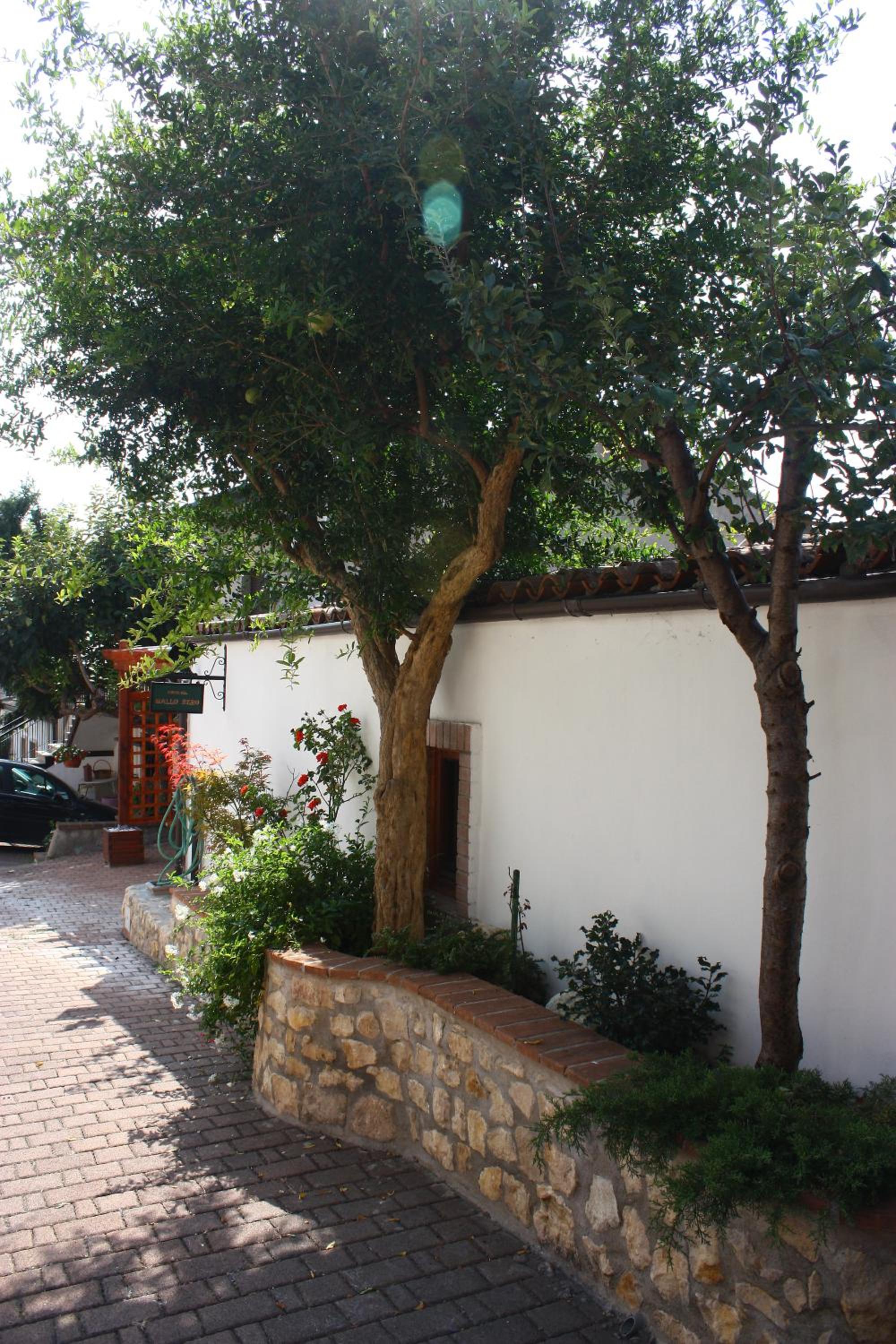 Photo 26