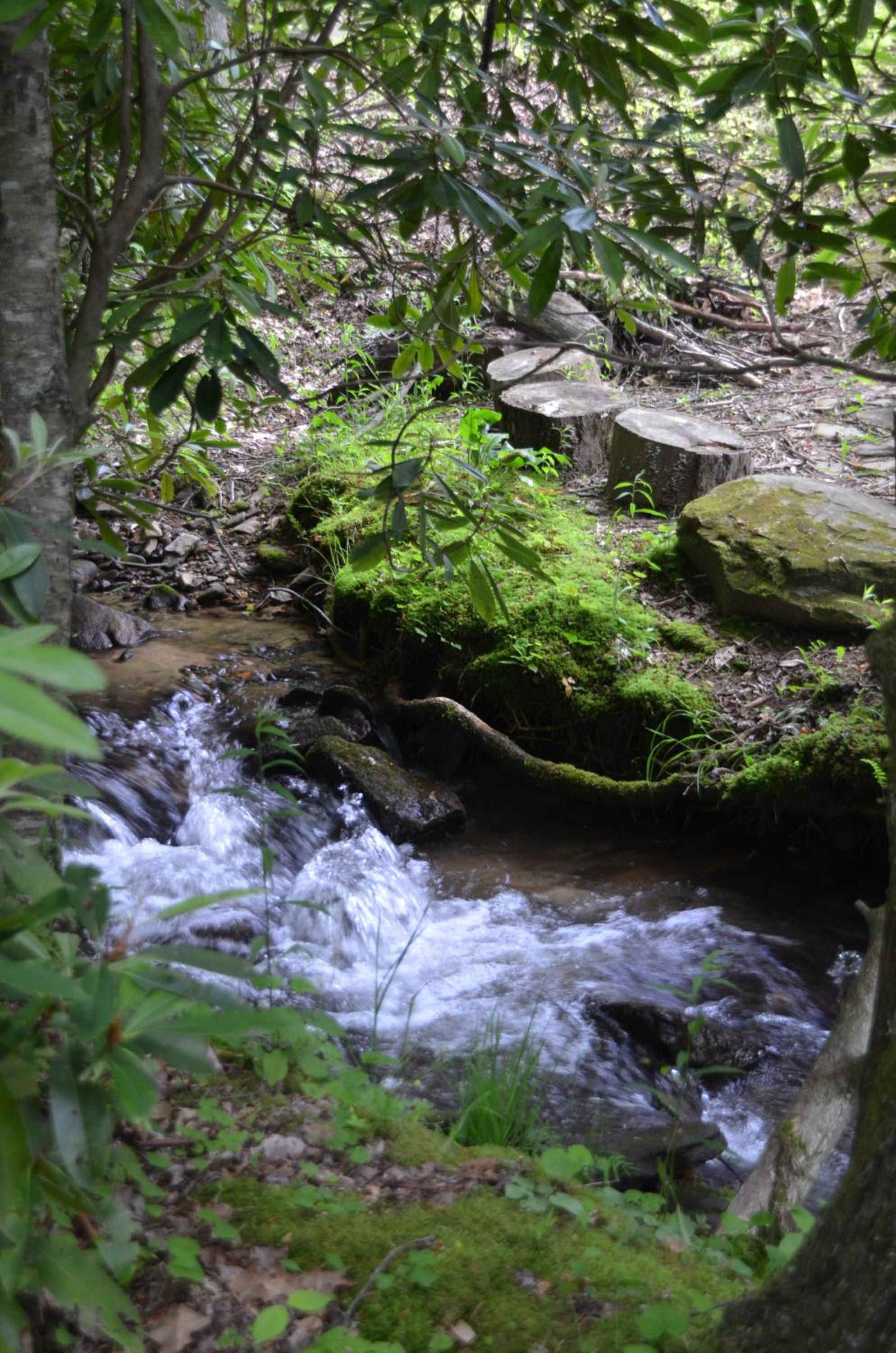 Panther Creek Cabins