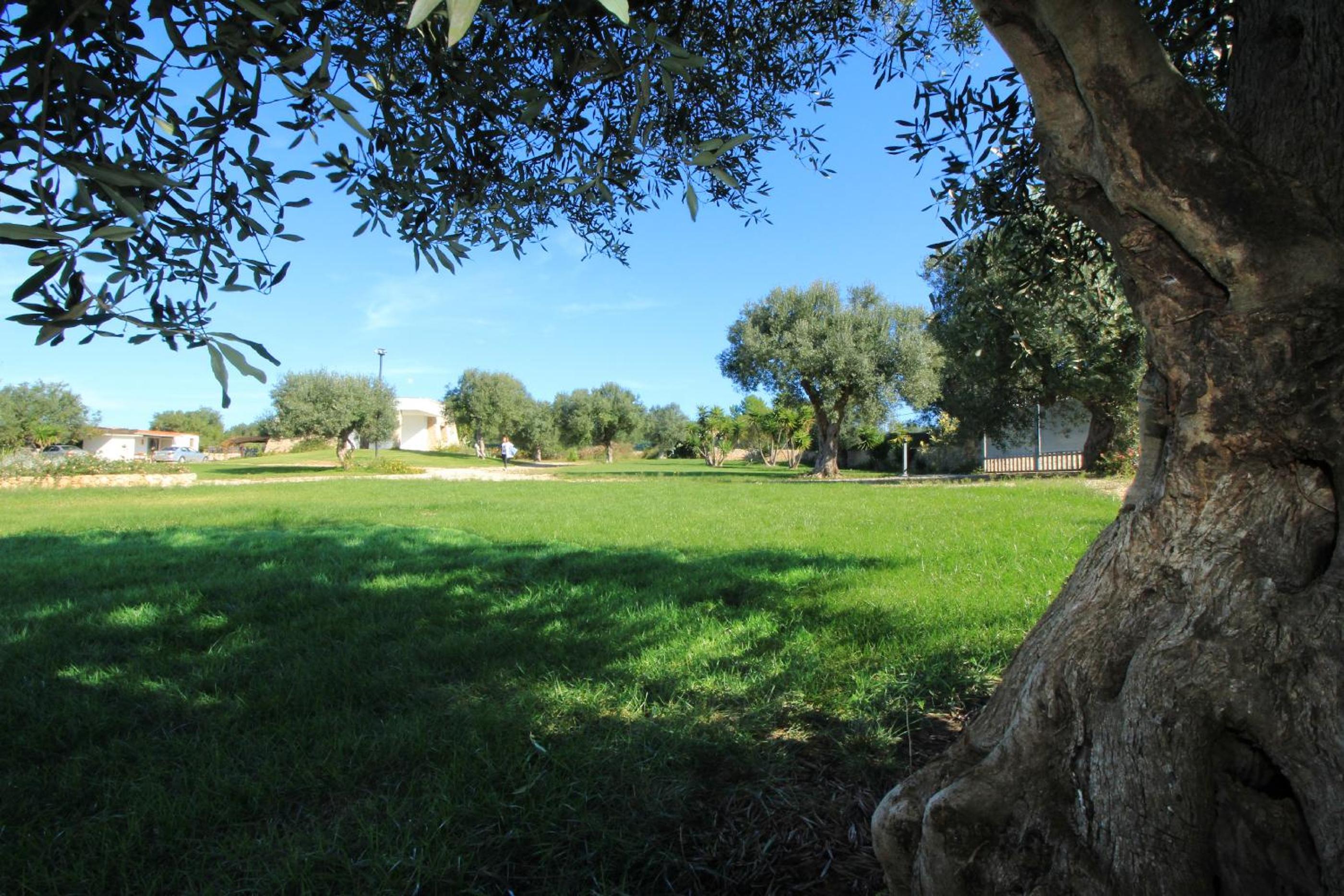 Trullo Piperita