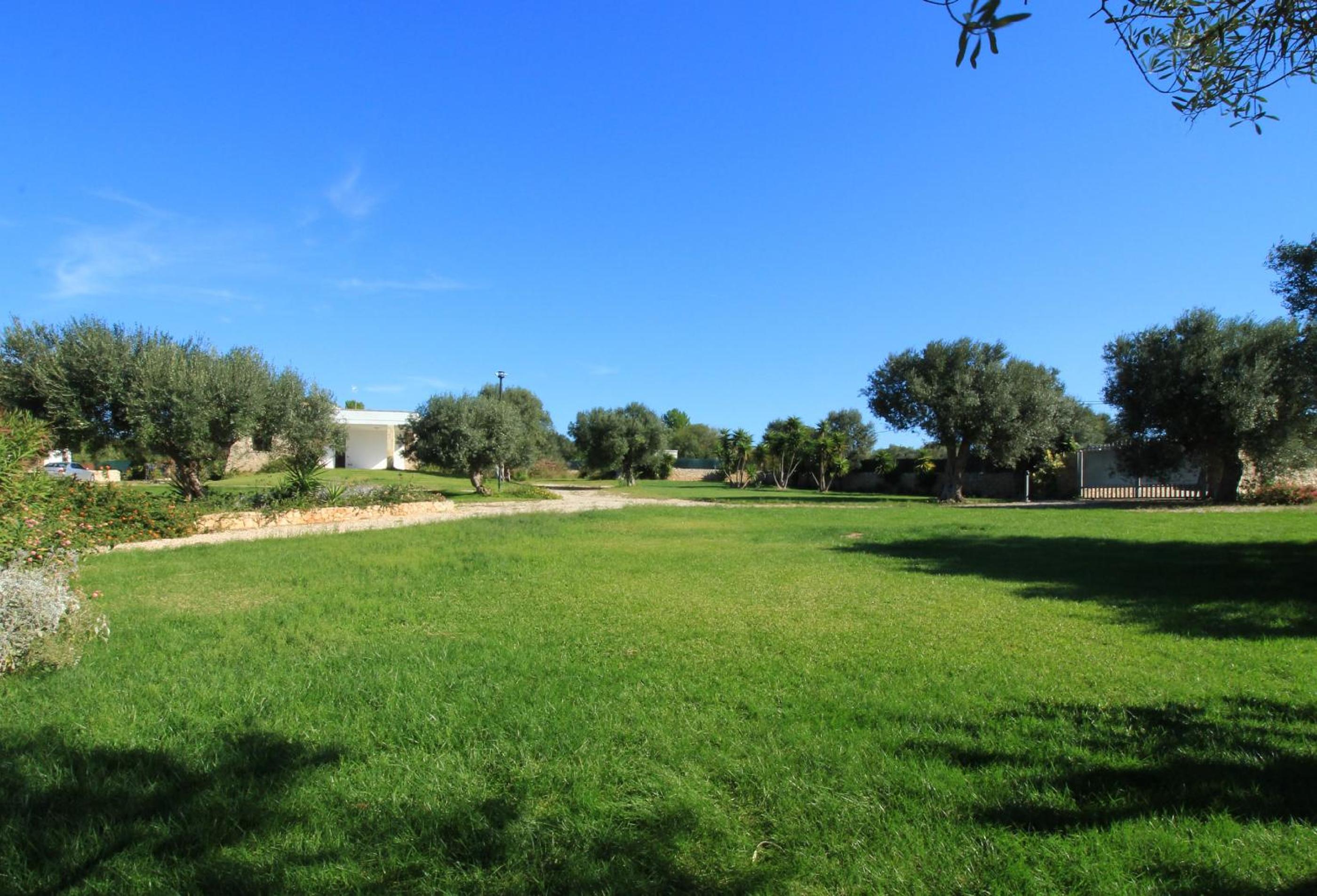 Trullo Piperita