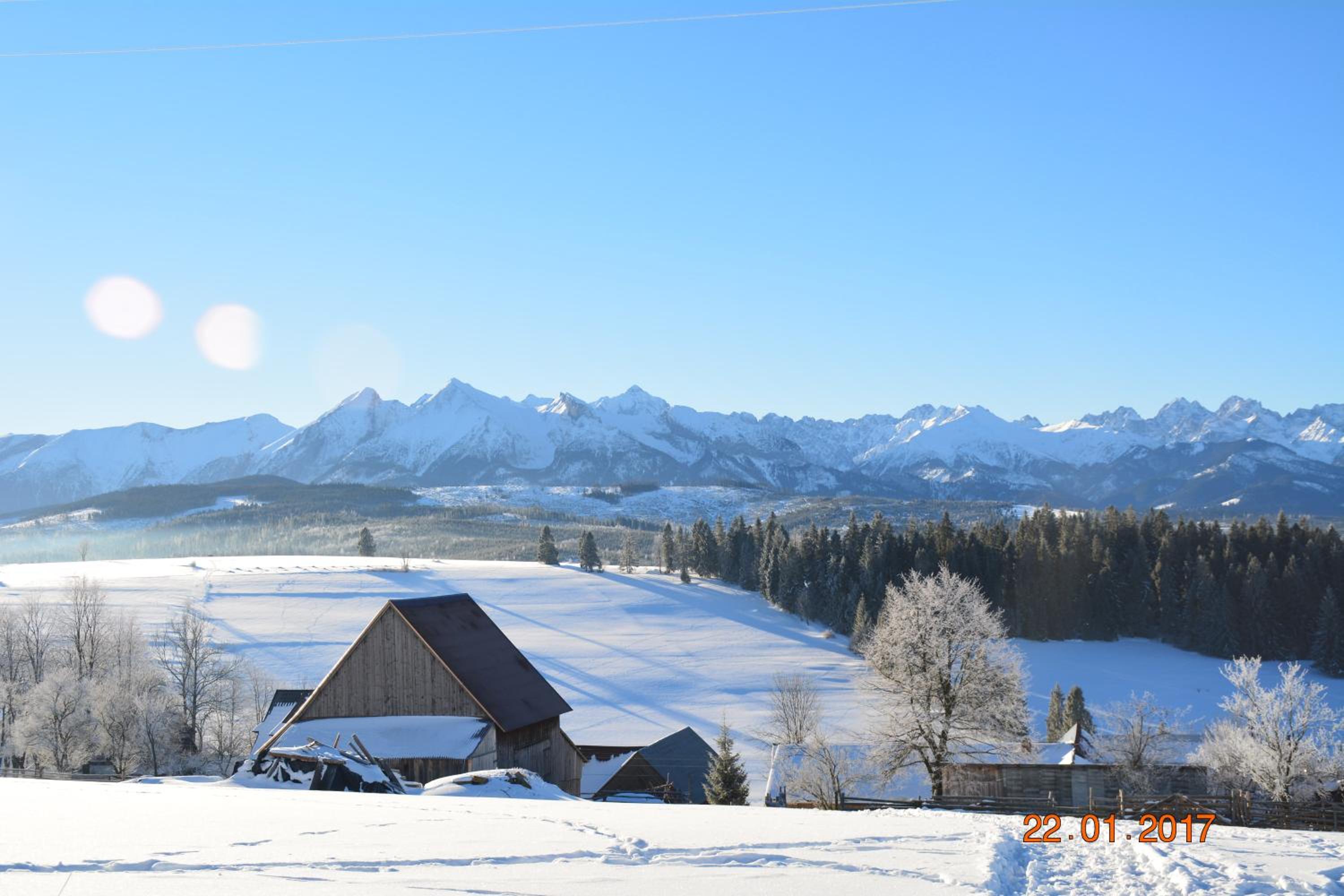 Photo 40