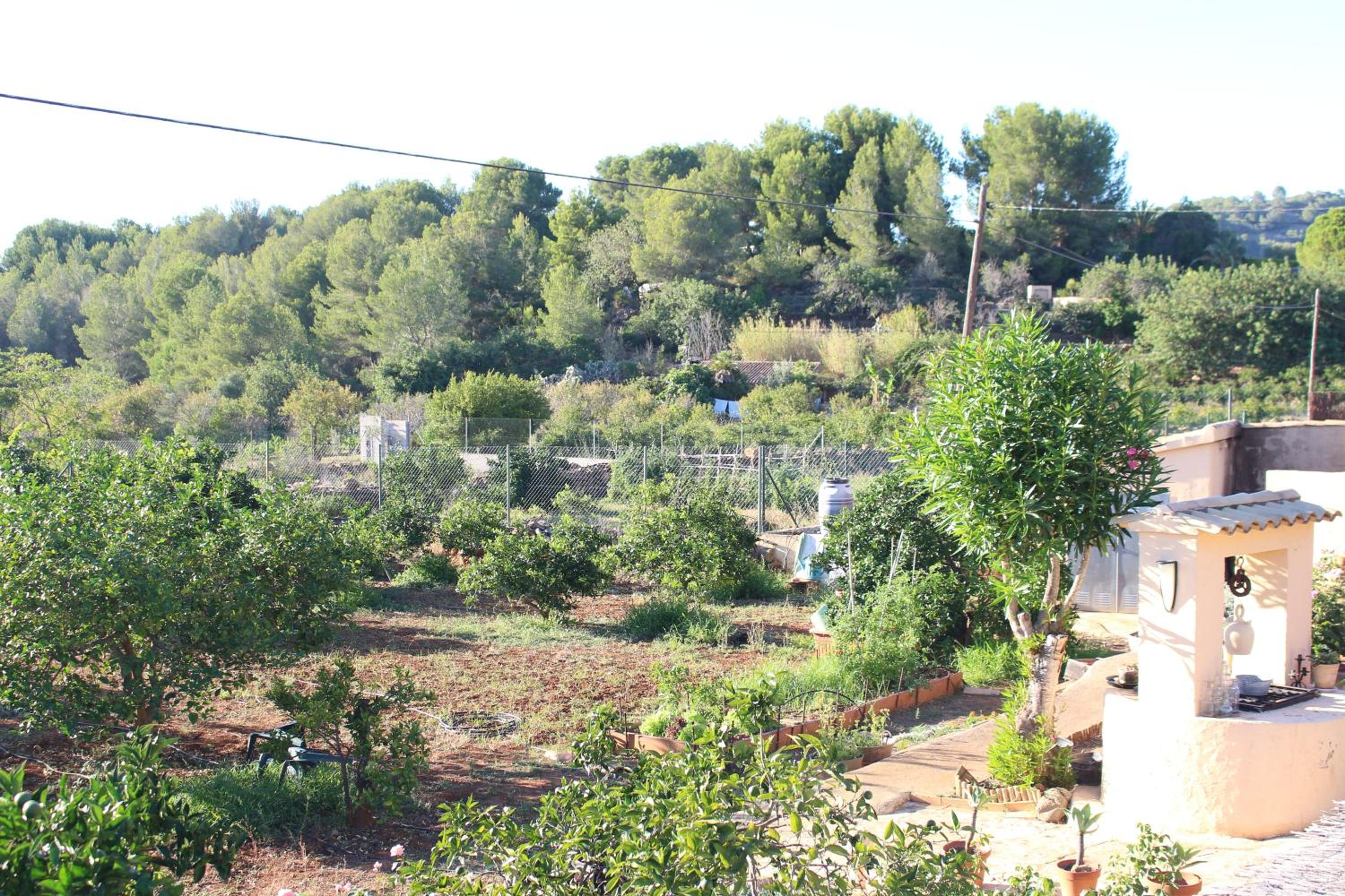Casa Llorens