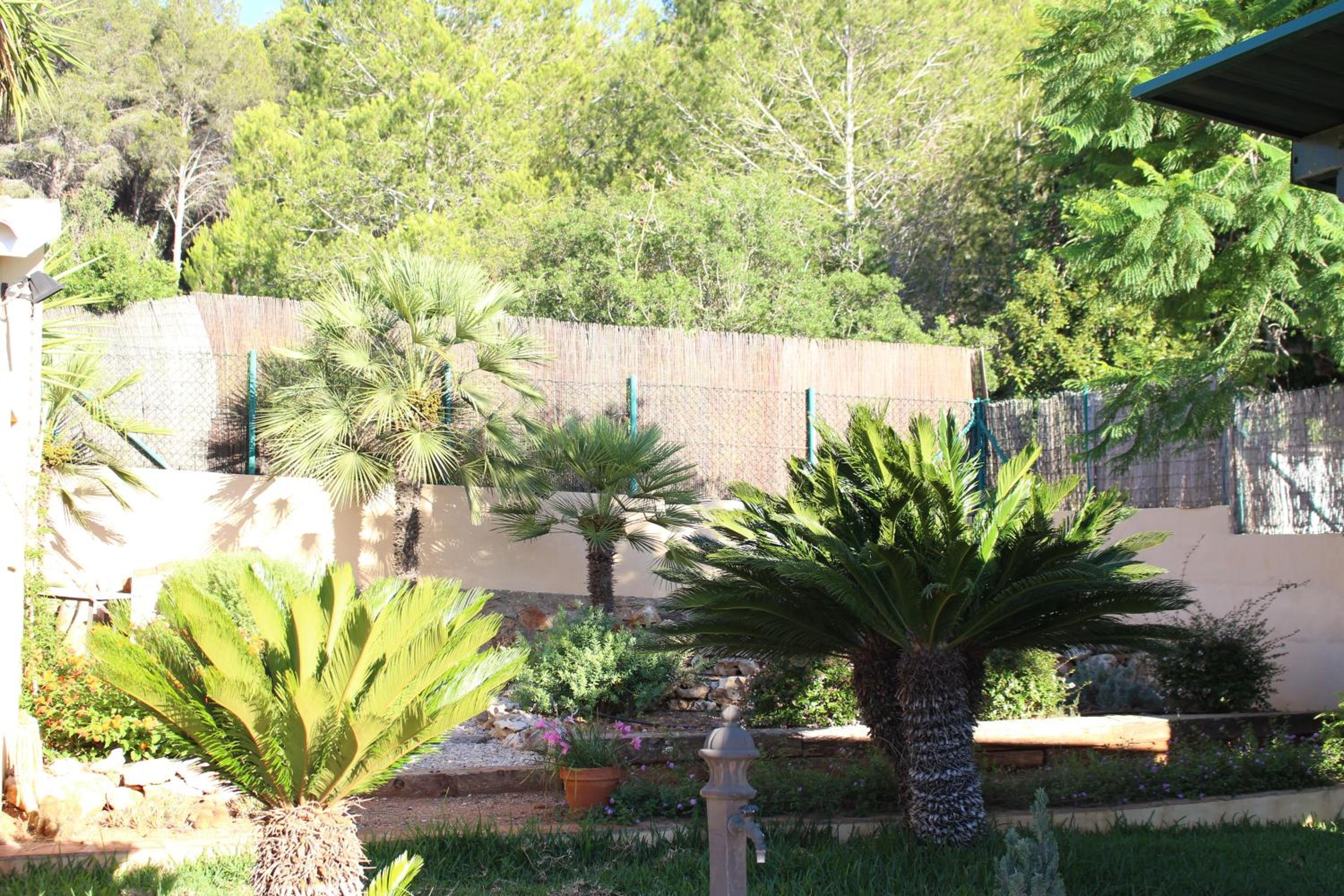 Casa Llorens