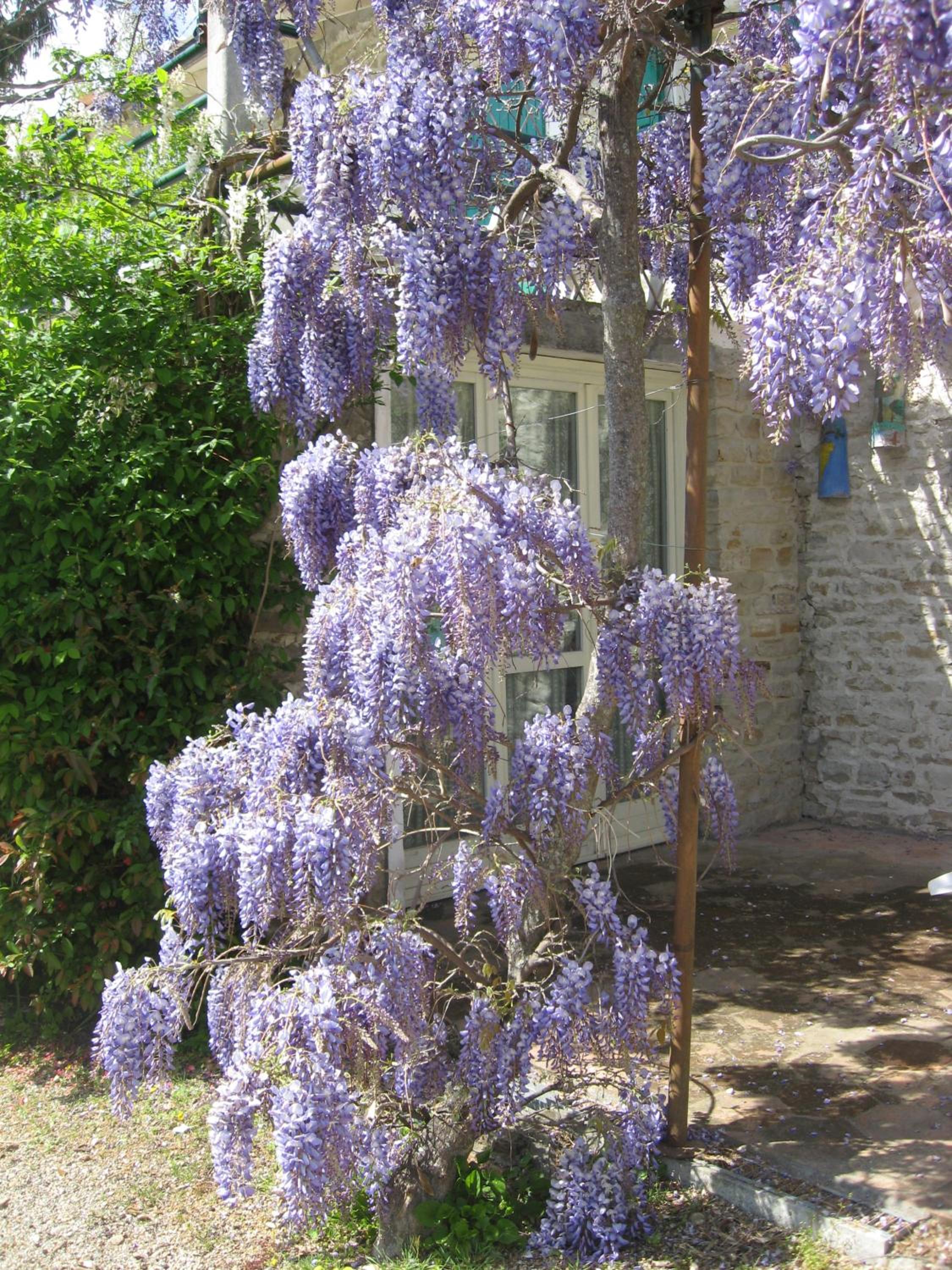 Agriturismo Cascina Serra