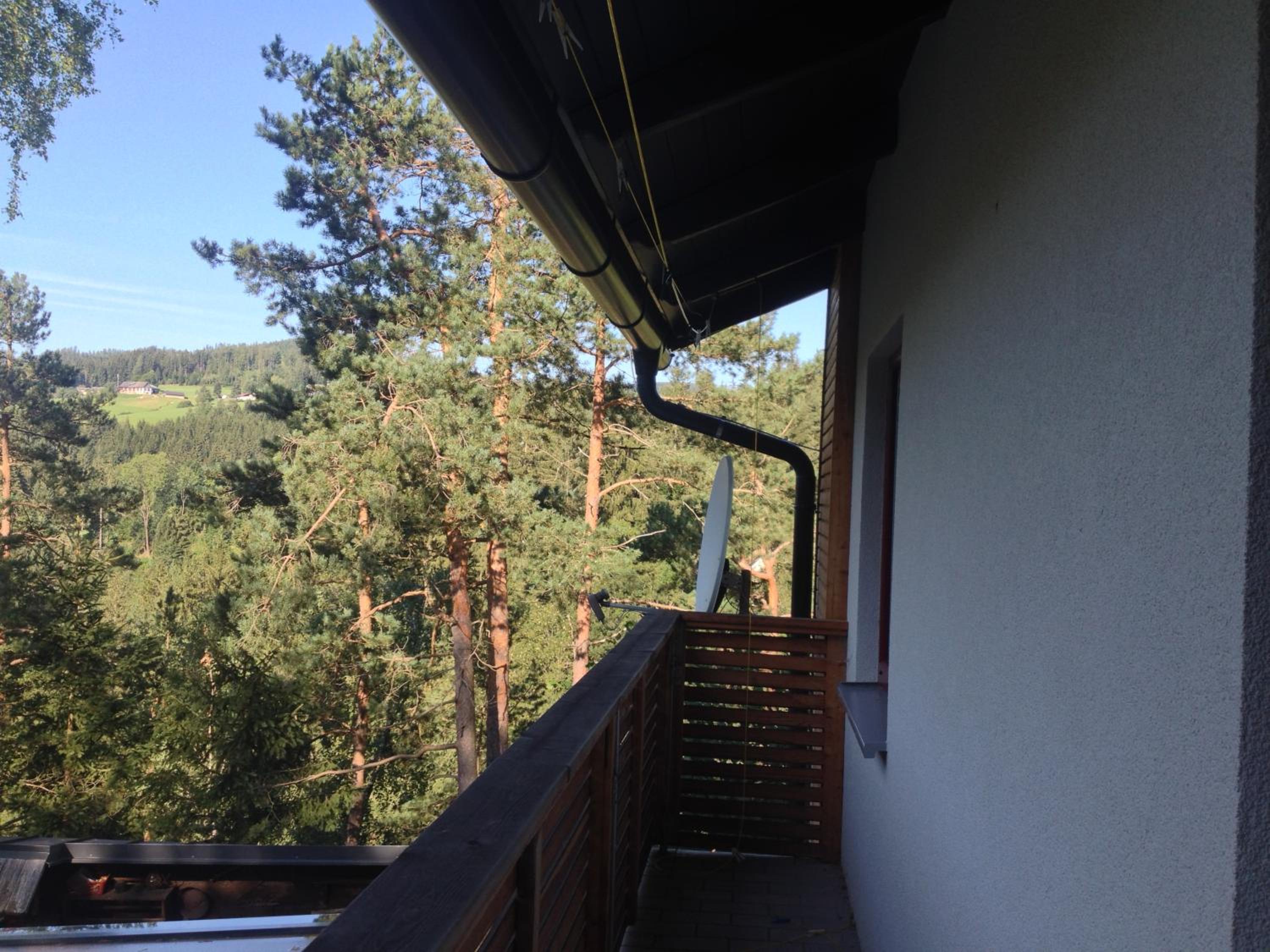Ferienhaus im Wald