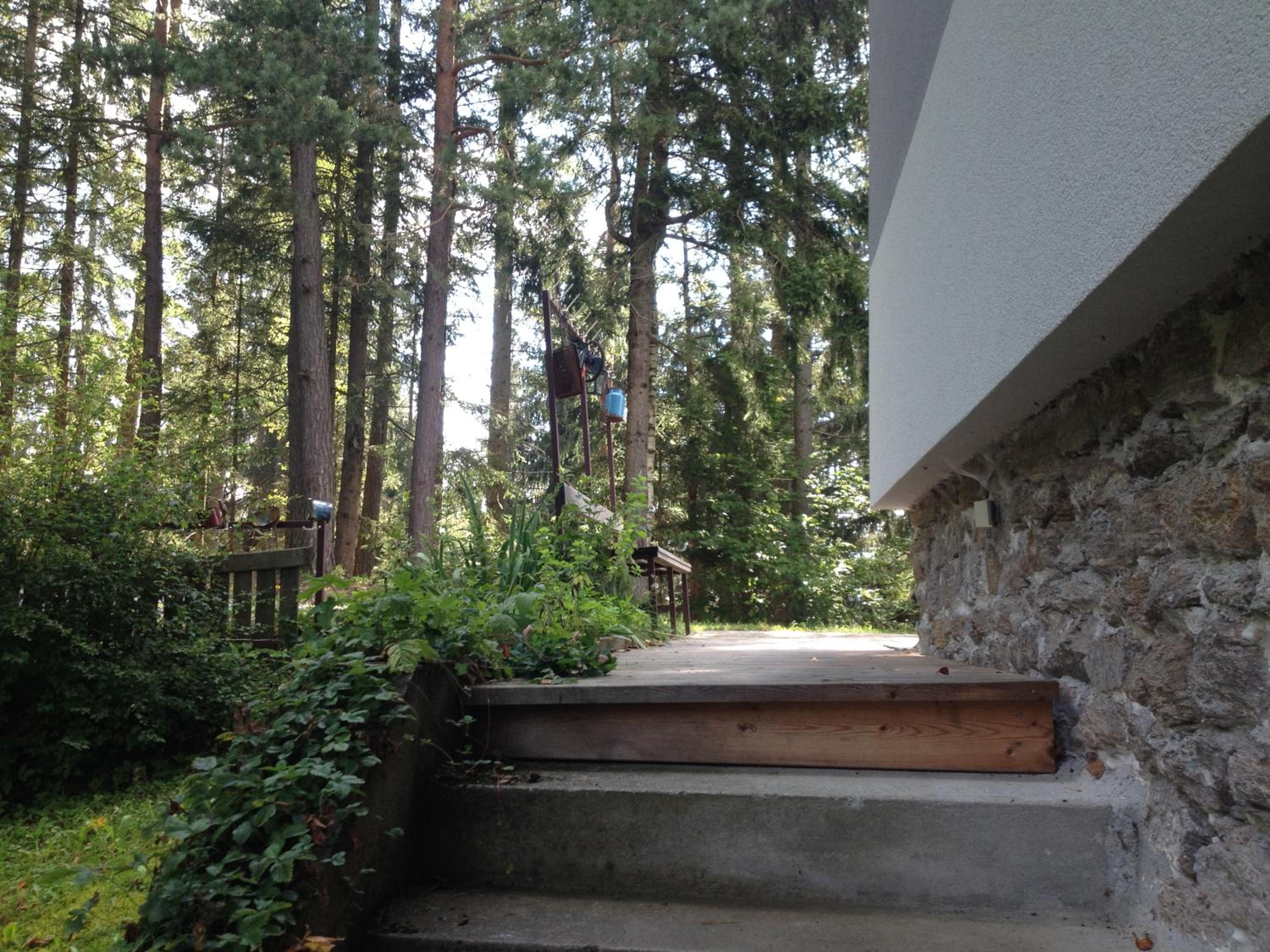 Ferienhaus im Wald